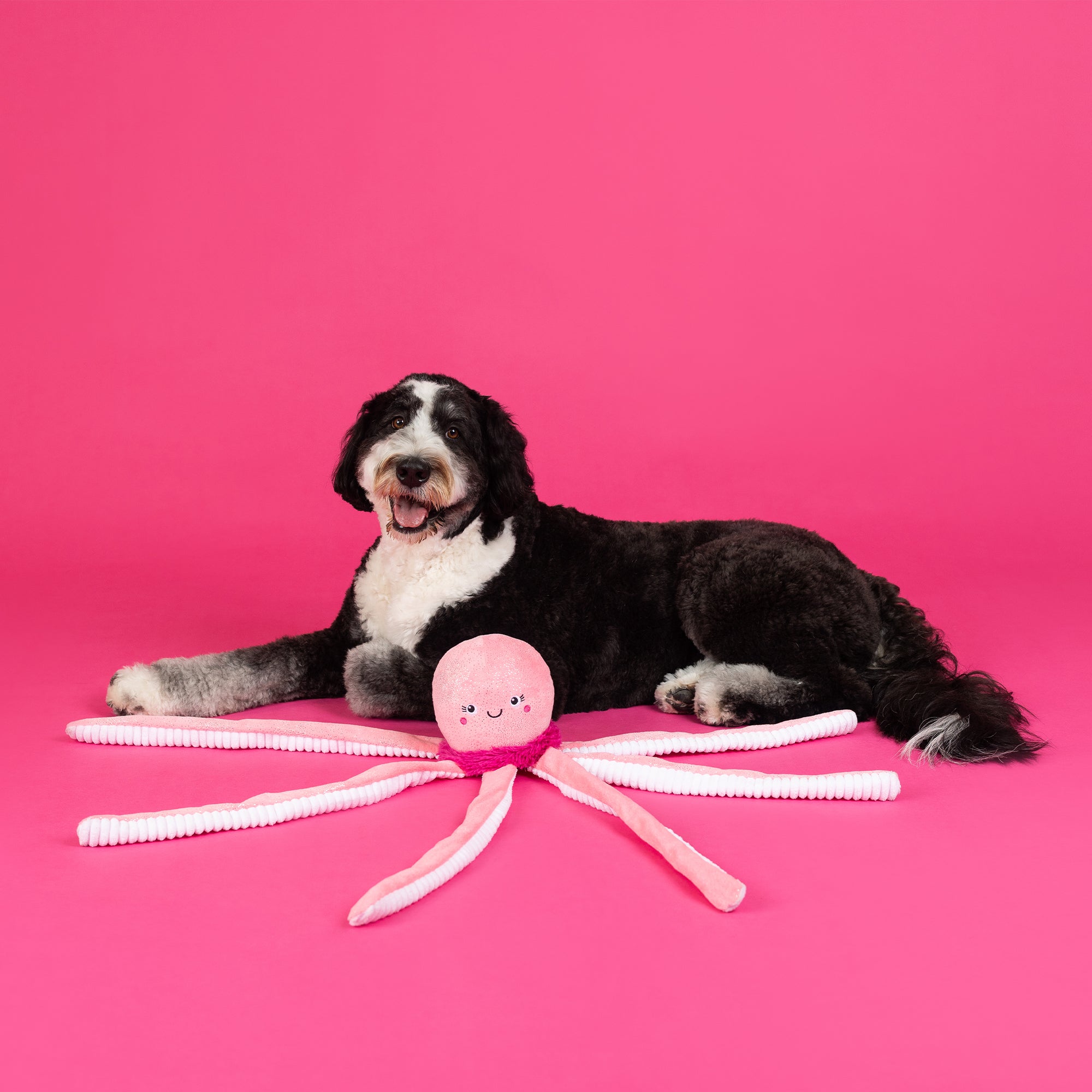 Do Your Own Sting Large Plush Dog Toy
