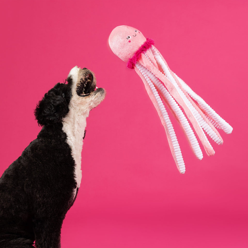Do Your Own Sting Large Dog Toy
