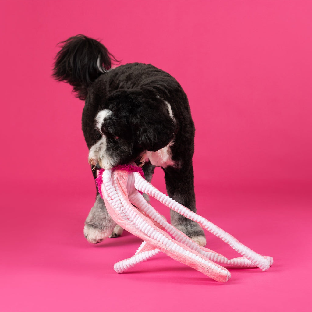 Do Your Own Sting Large Dog Toy