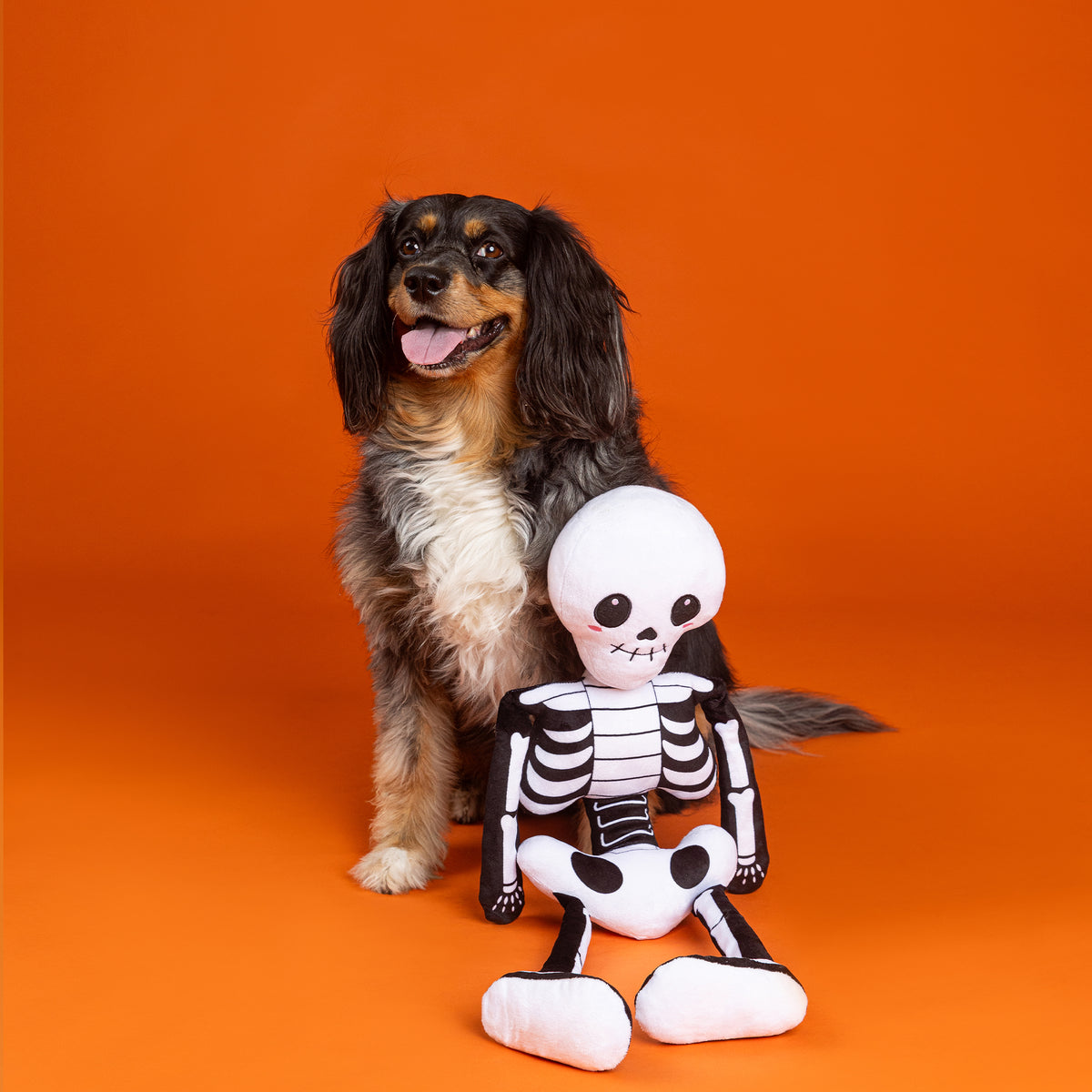 Bone to Be Wild Large Plush Dog Toy