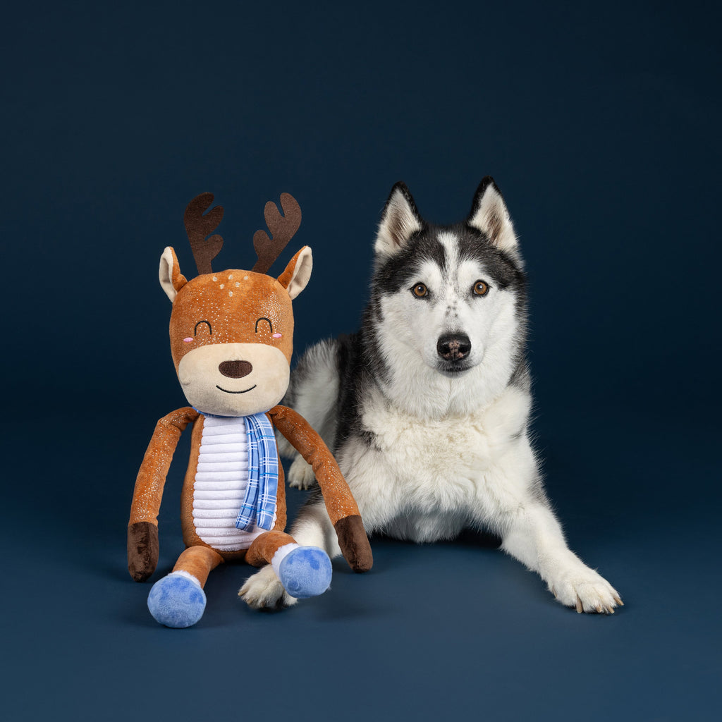 Dashin' Around Large Plush Dog Toy