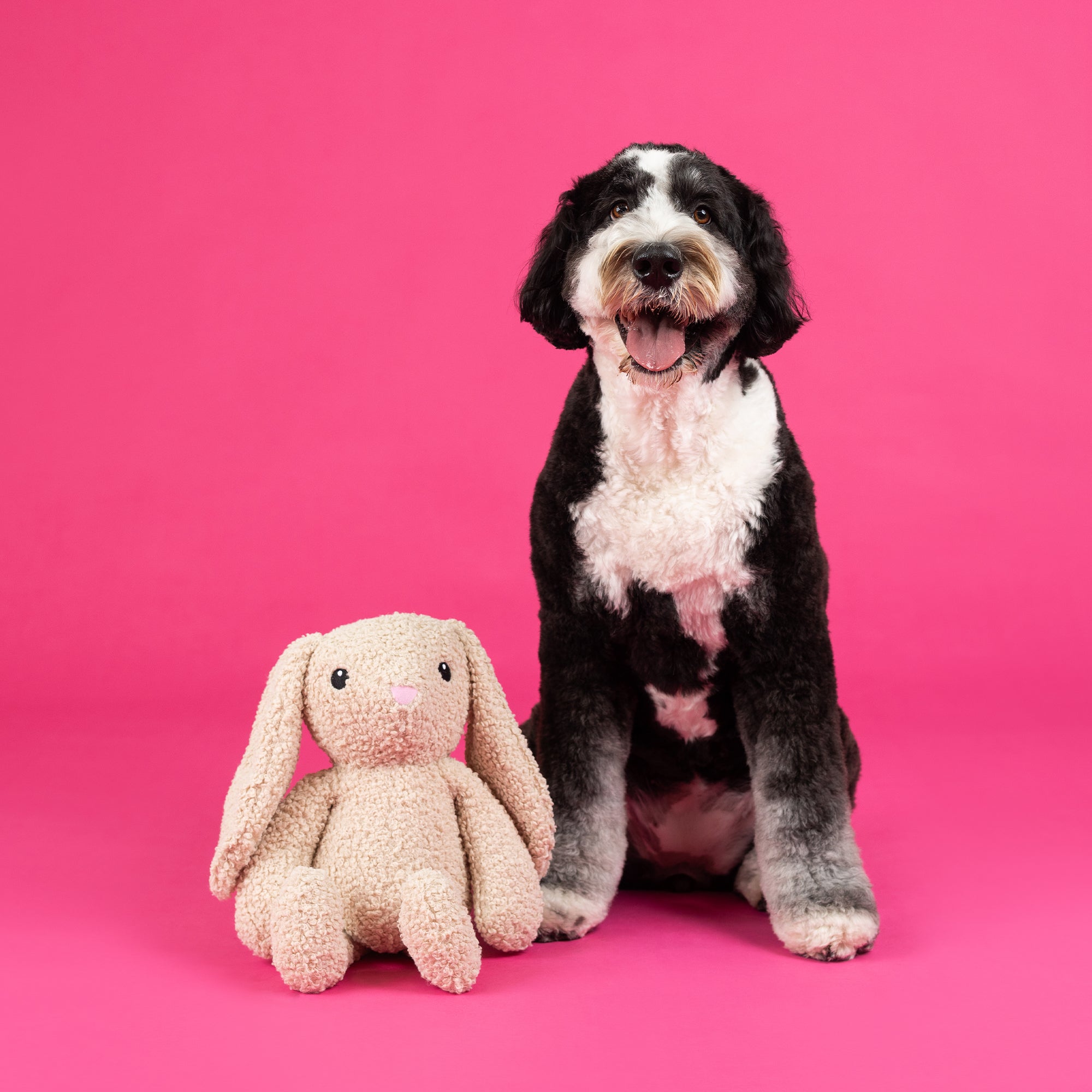 Hoppy To See You Large Plush Dog Toy