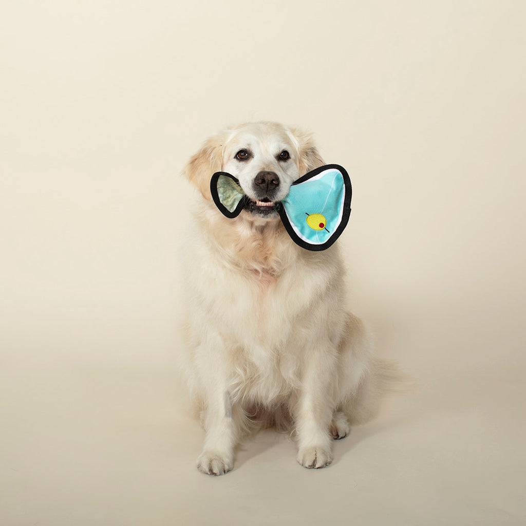 Dirty Puptini Durable Dog Toy