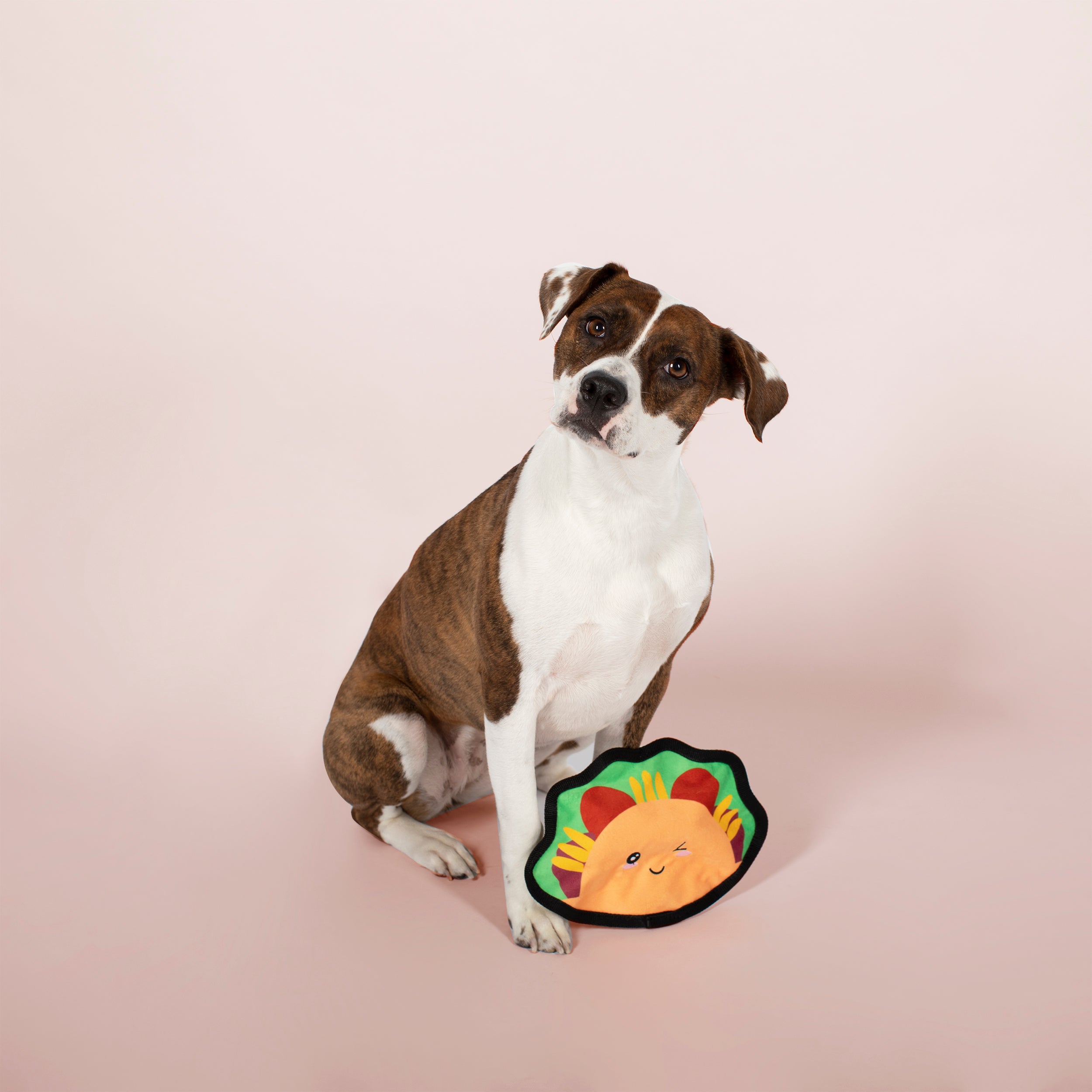Taco Durable Plush Dog Toy