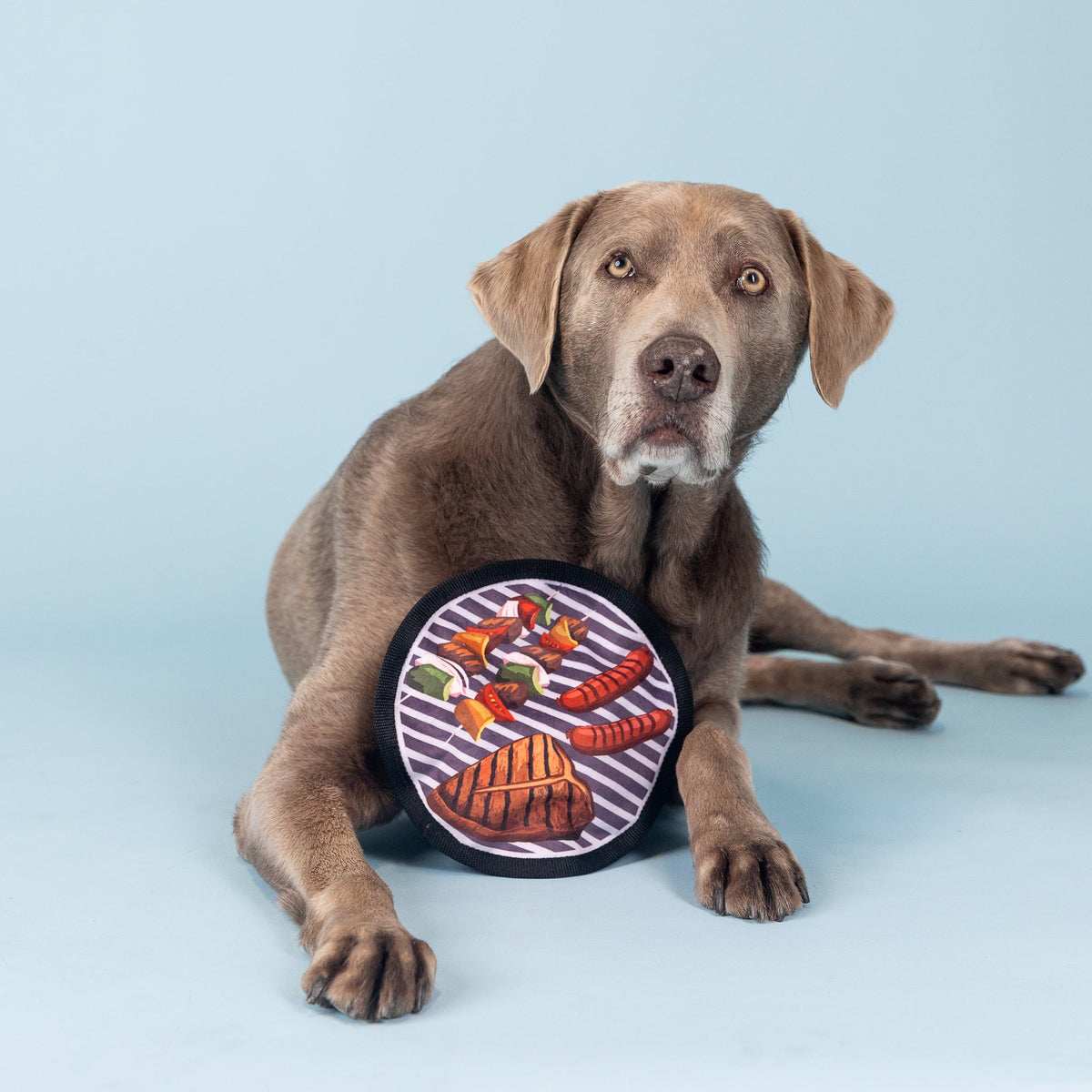 Wagsdale Catch You On The Flip Side Durable Plush Dog Toy