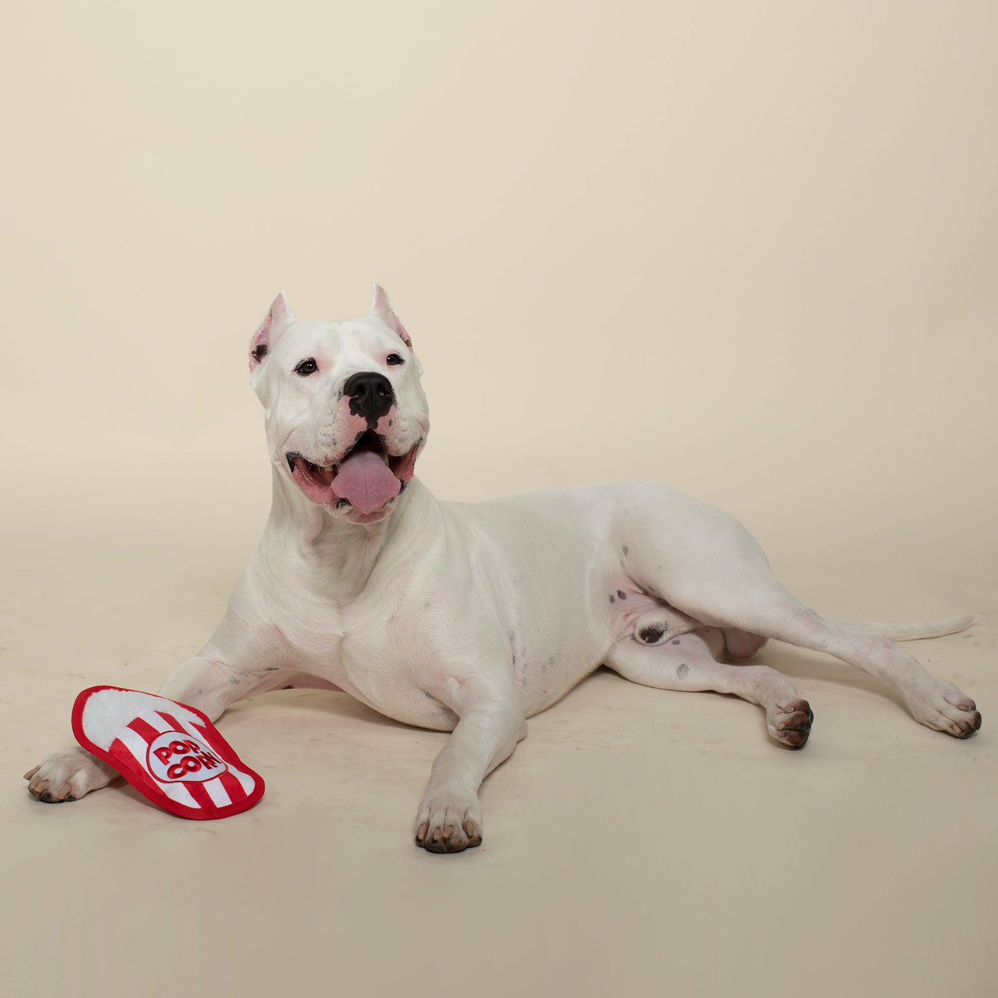 What's Poppin'? Durable Dog Toy