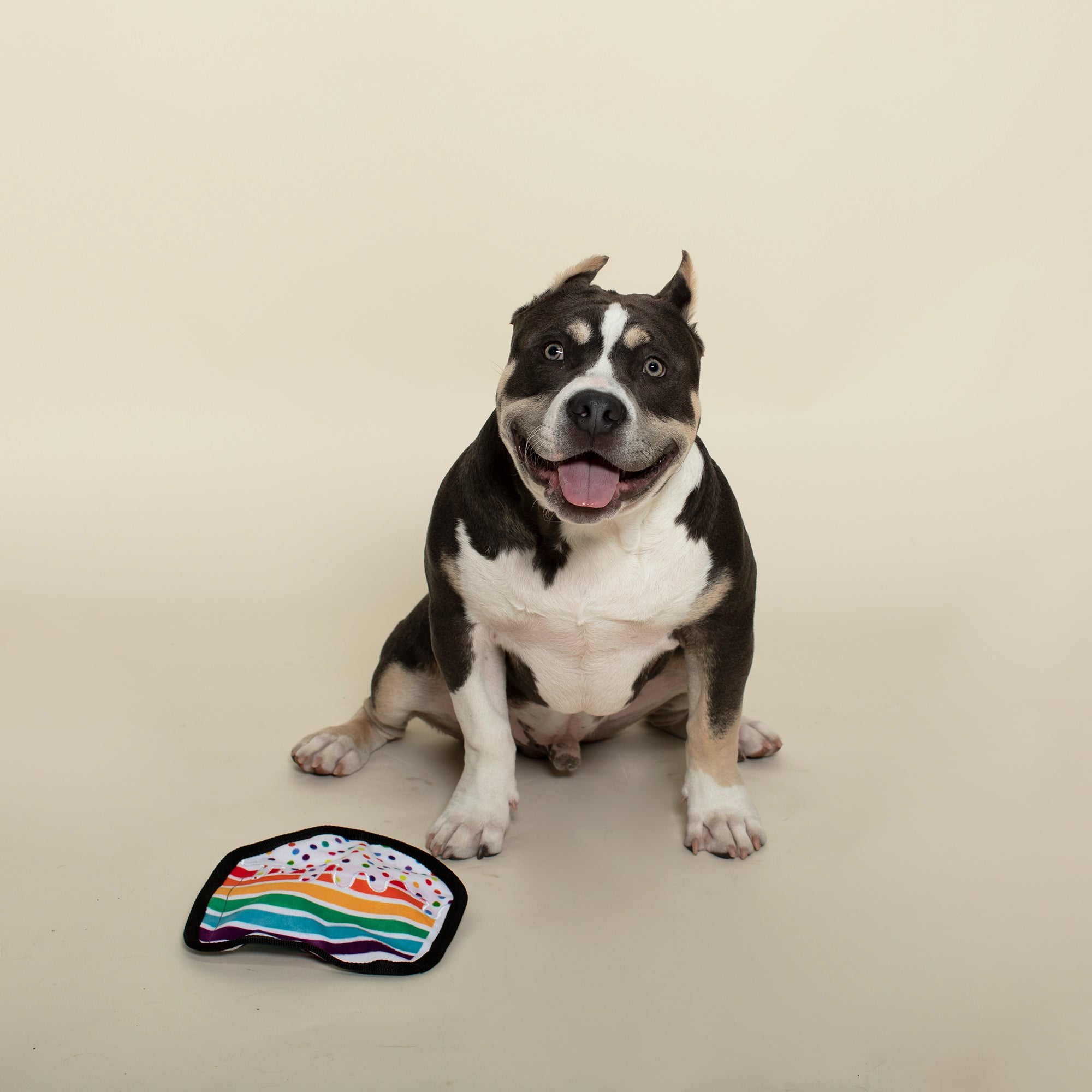 Piece of Cake Durable Plush Dog Toy