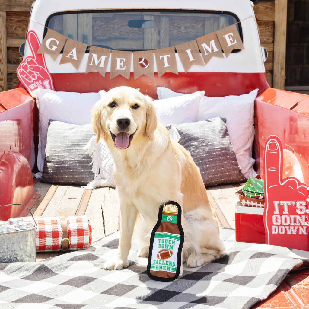 Tailgates And Touchdowns Durable Dog Toy