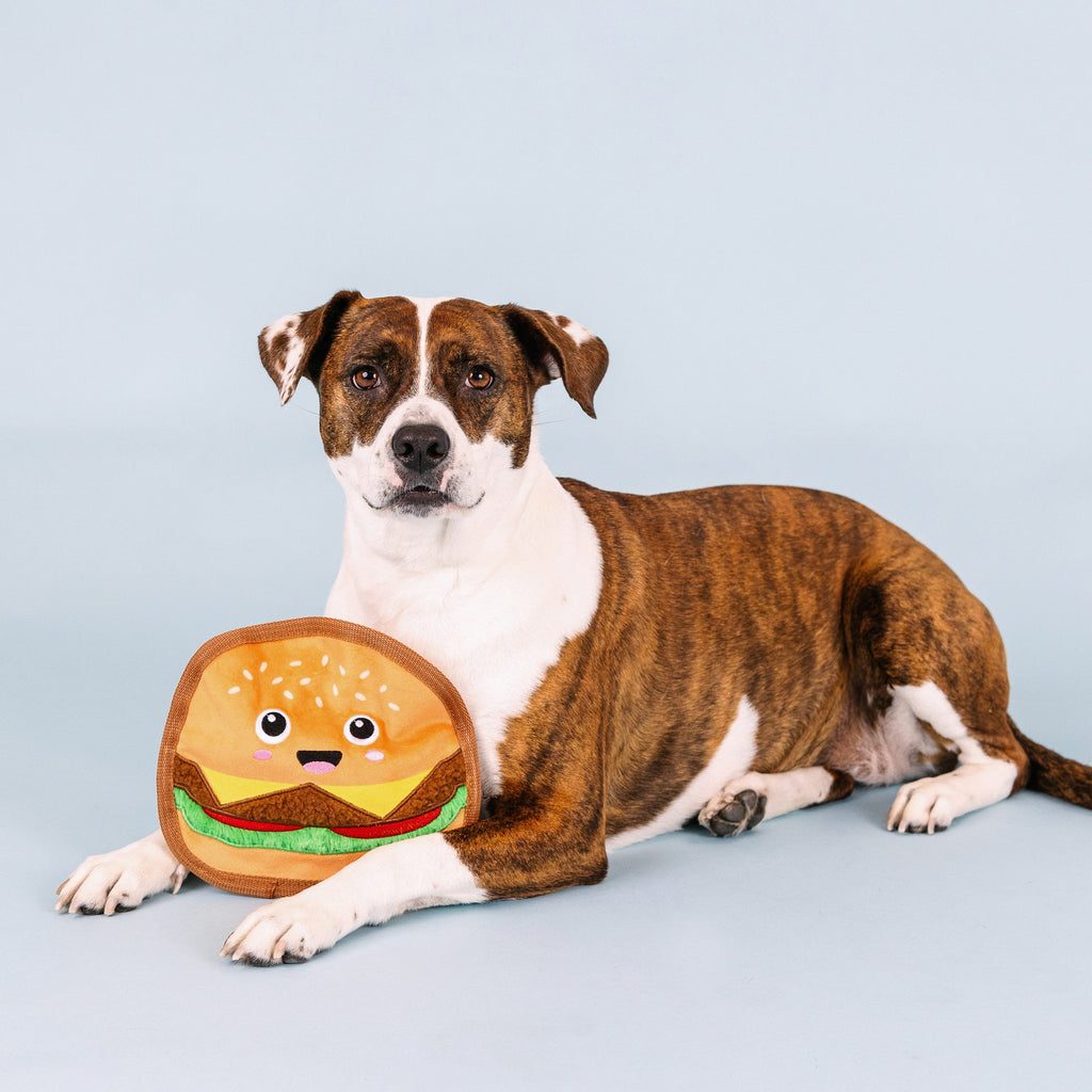 Say Cheese! Durable Dog Toy