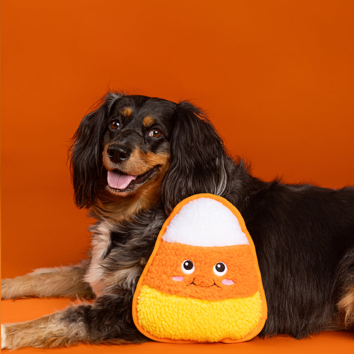 Candy You Dig It? Durable Plush Dog Toy