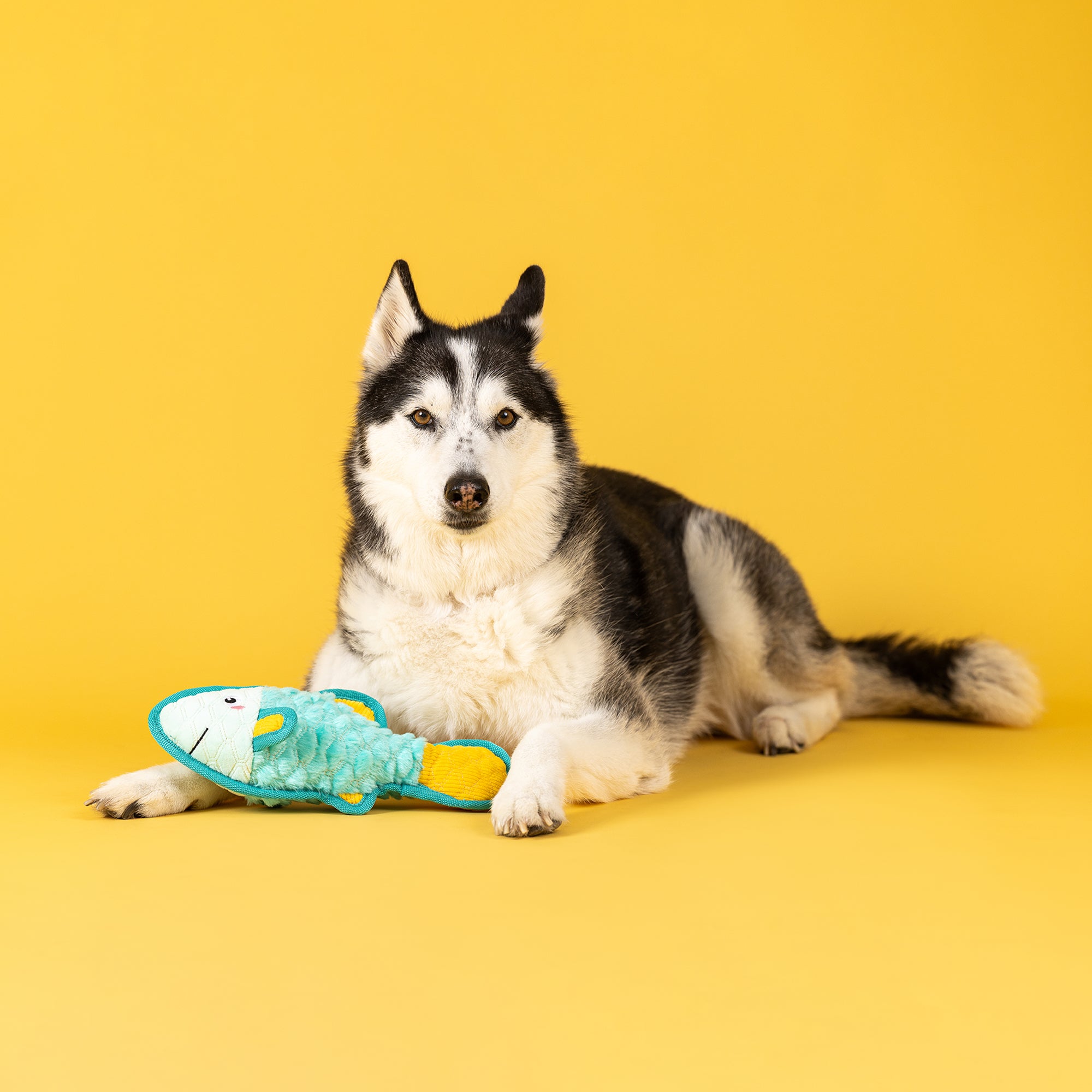 Fish You The Best Durable Plush Dog Toy