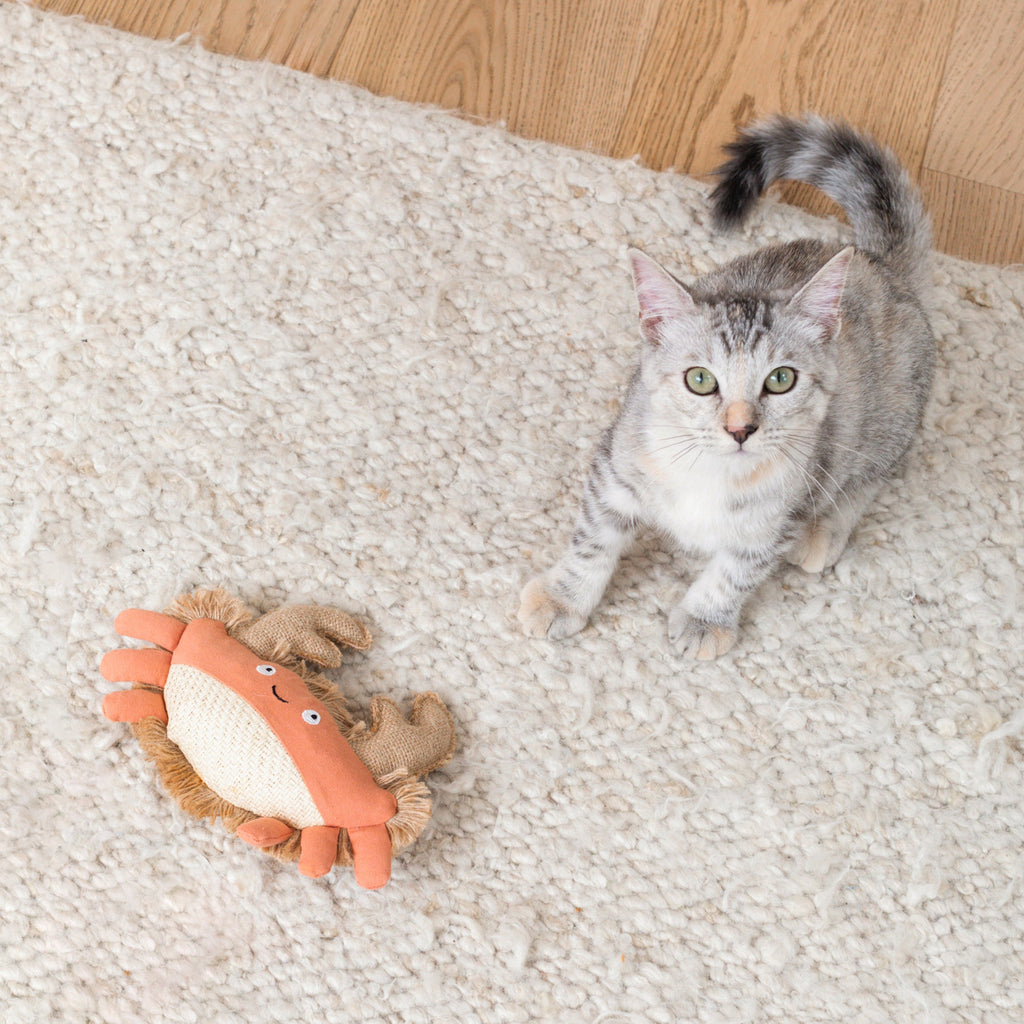 Very Crabtivating Earth Friendly Cat Toy