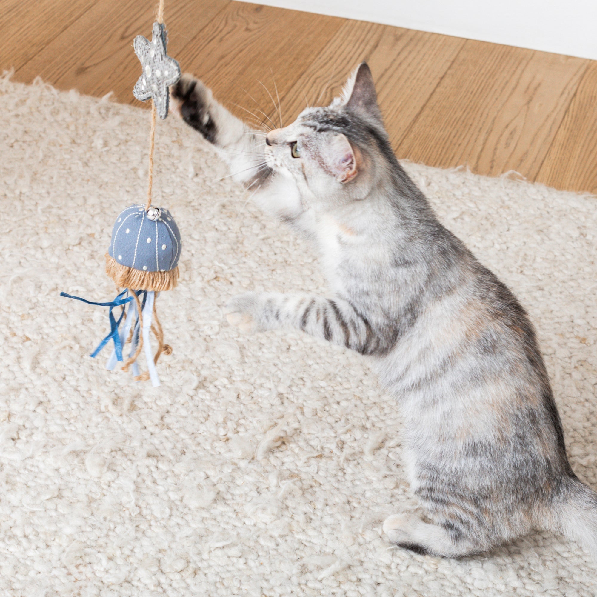 Ready For This Jelly? Earth Friendly Teaser Cat Toy