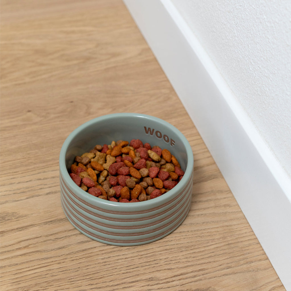 Stripe Sage Medium Dog Bowl