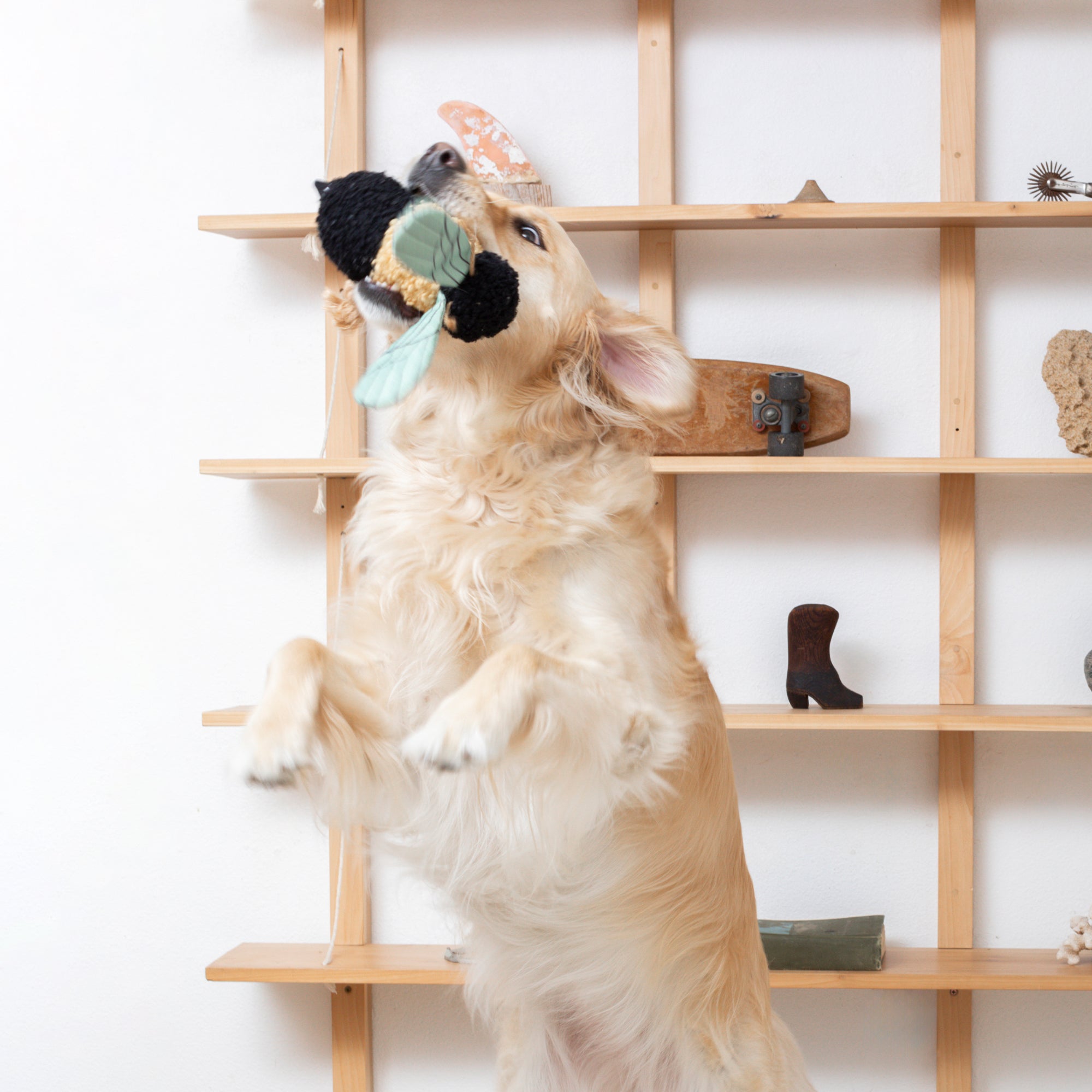 MS Mrs. Bee Dog Toy