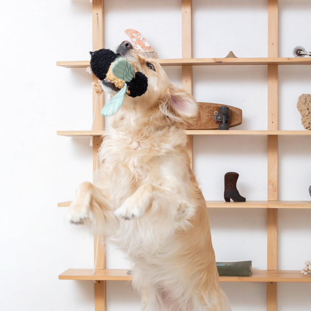 Ms Mrs. Bee Dog Toy