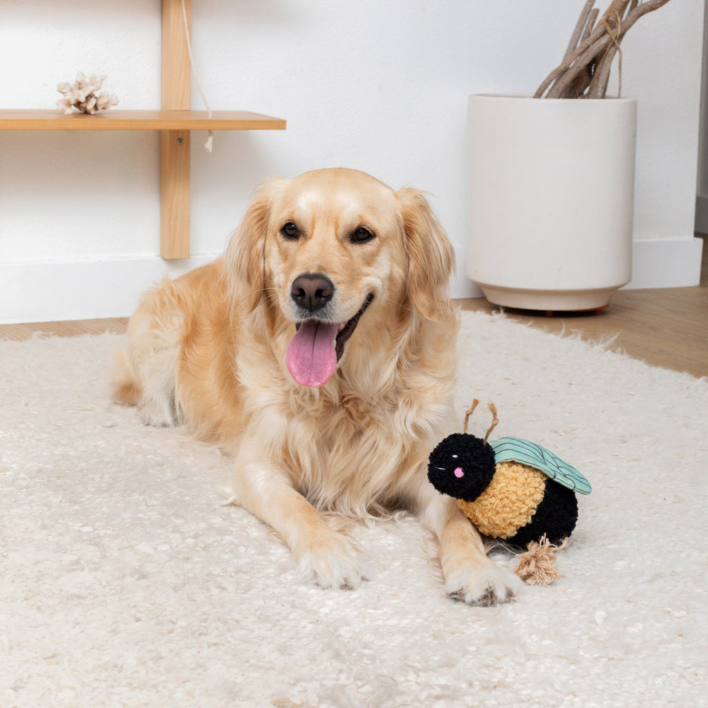 Ms Mrs. Bee Dog Toy