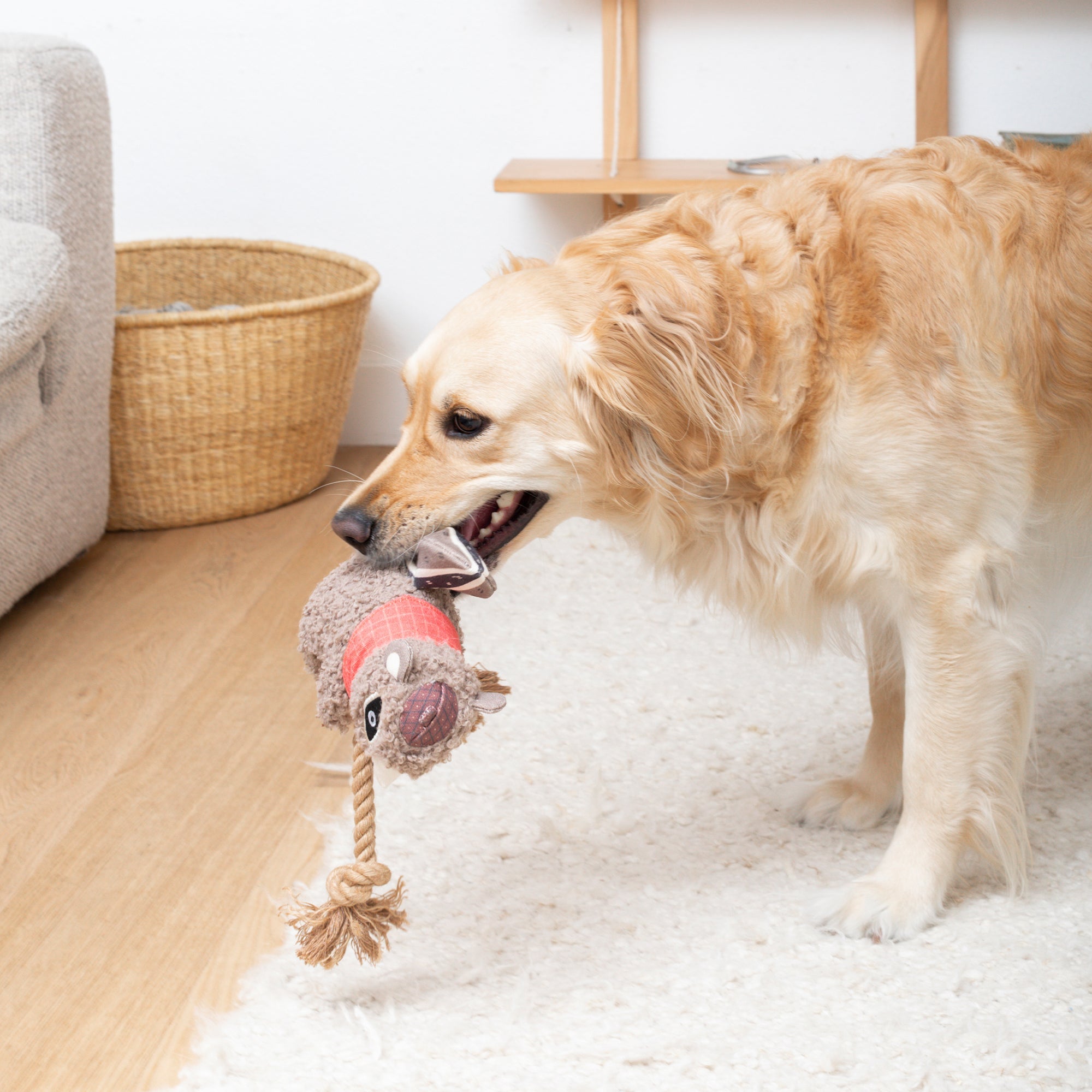 MS Chip Dog Toy