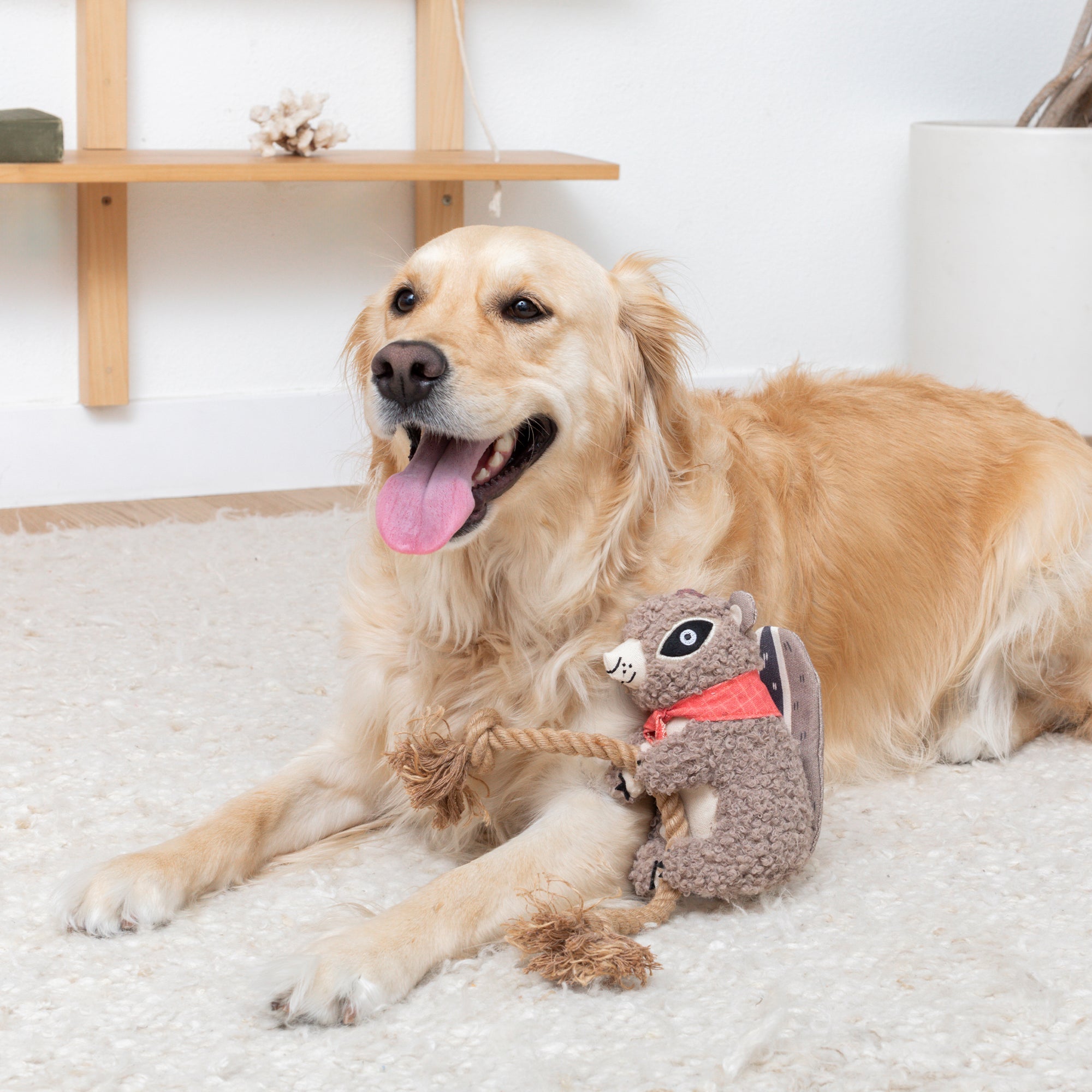 MS Chip Dog Toy