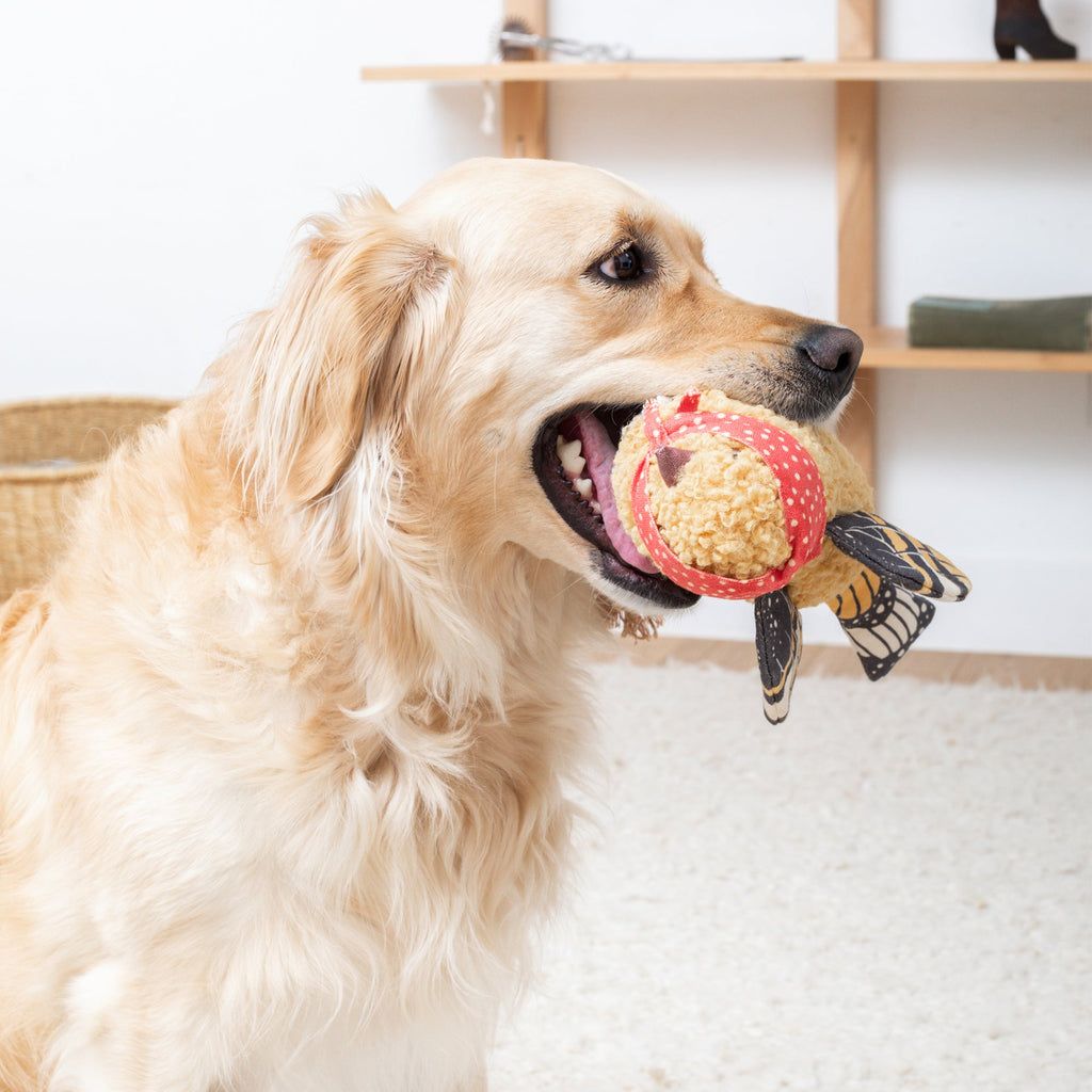 Ms Birdie Dog Toy