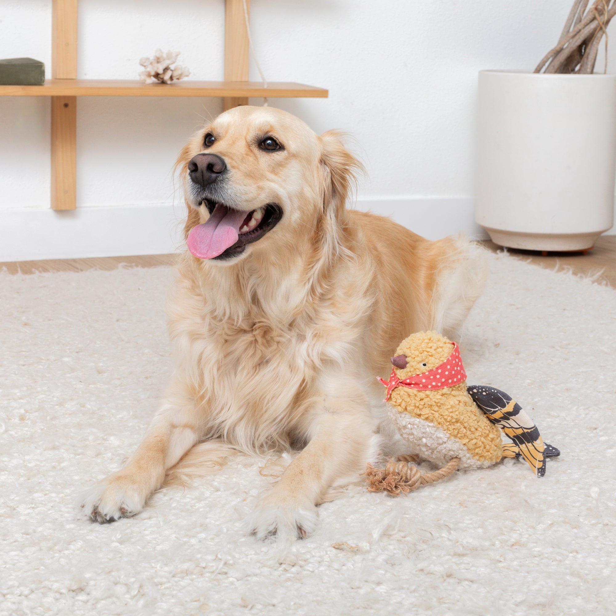 MS Birdie Dog Toy