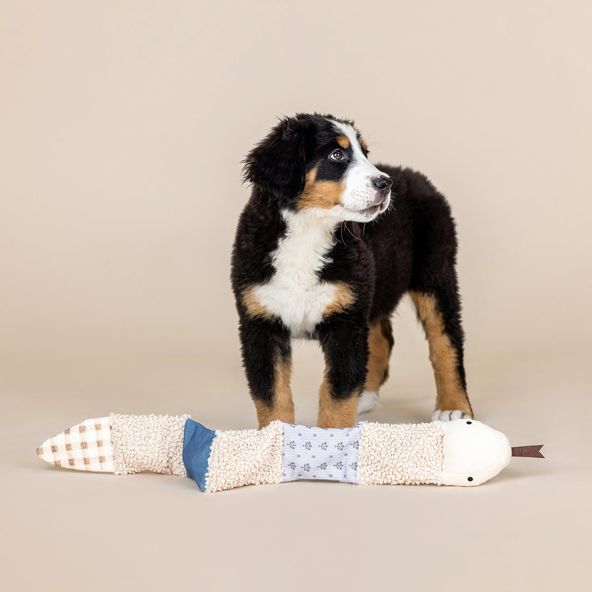 Ziggy Textured Patchwork Dog Toy
