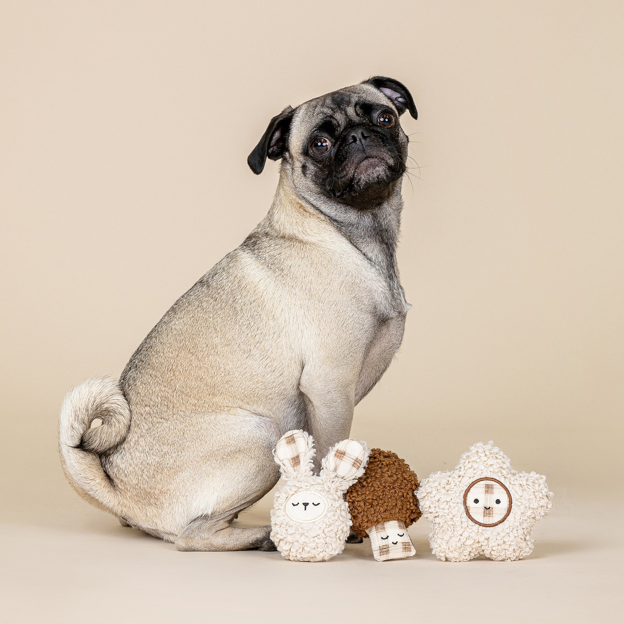 Meadow Blooms 3pc Textured Patchwork Mini Dog Toy Set