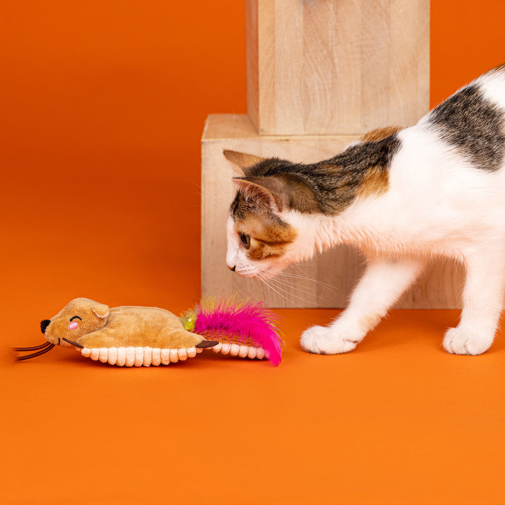 Catch Me Flyin' Cat Toy