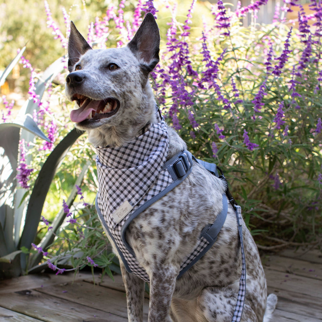 Painted Gingham Bandana