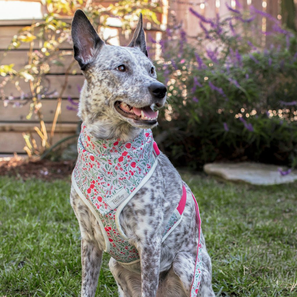 Ditsy Floral Bandana
