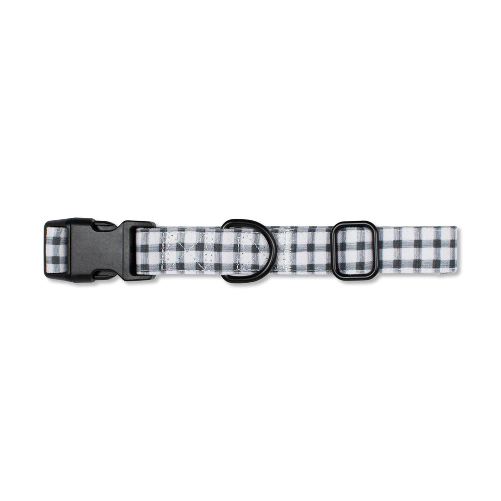 Painted Gingham Dog Collar