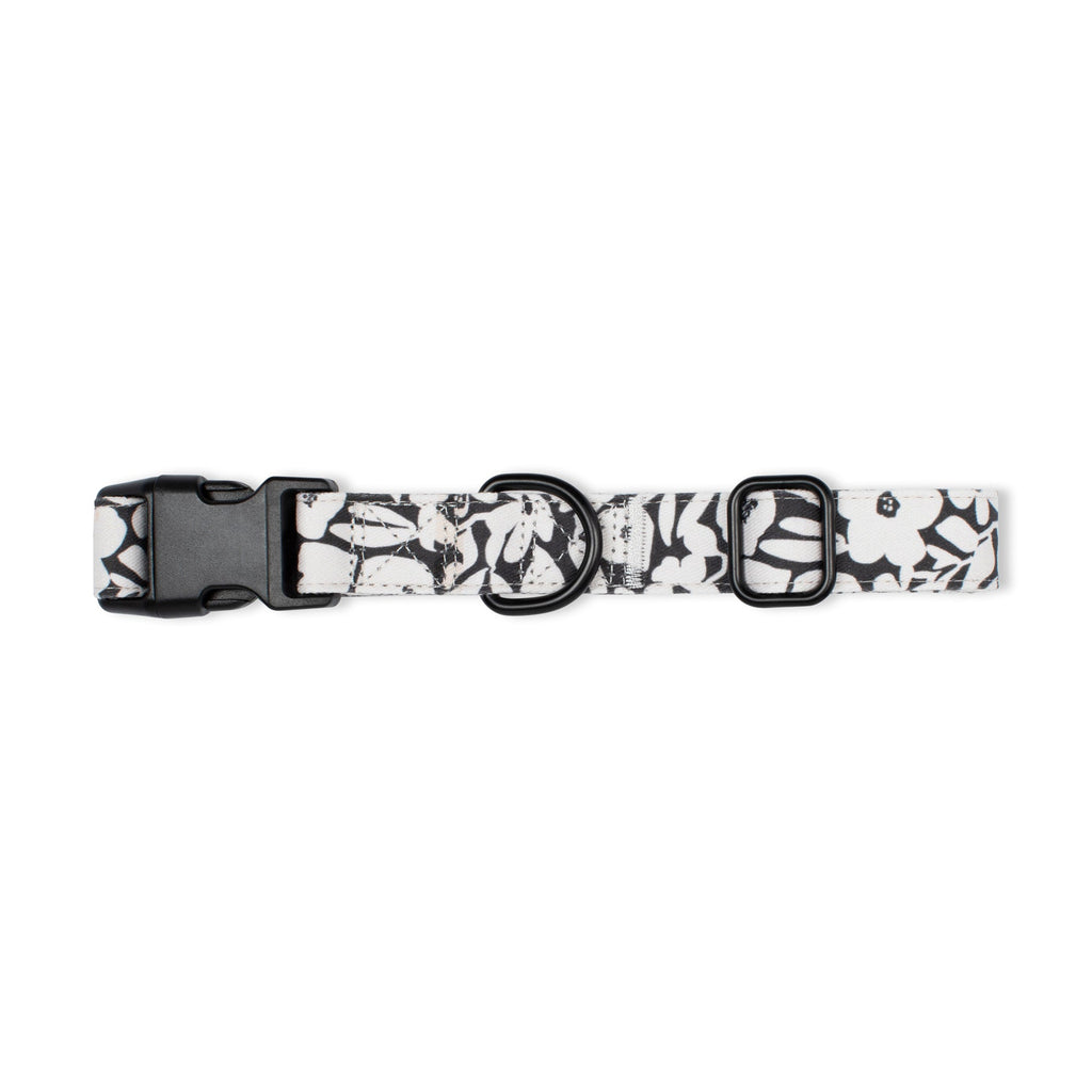 Charcoal Floral Dog Collar