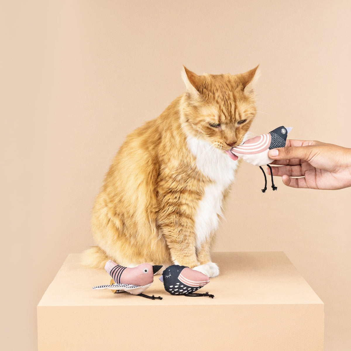 Under My Wings 3pc Mini Canvas Cat Toy Set