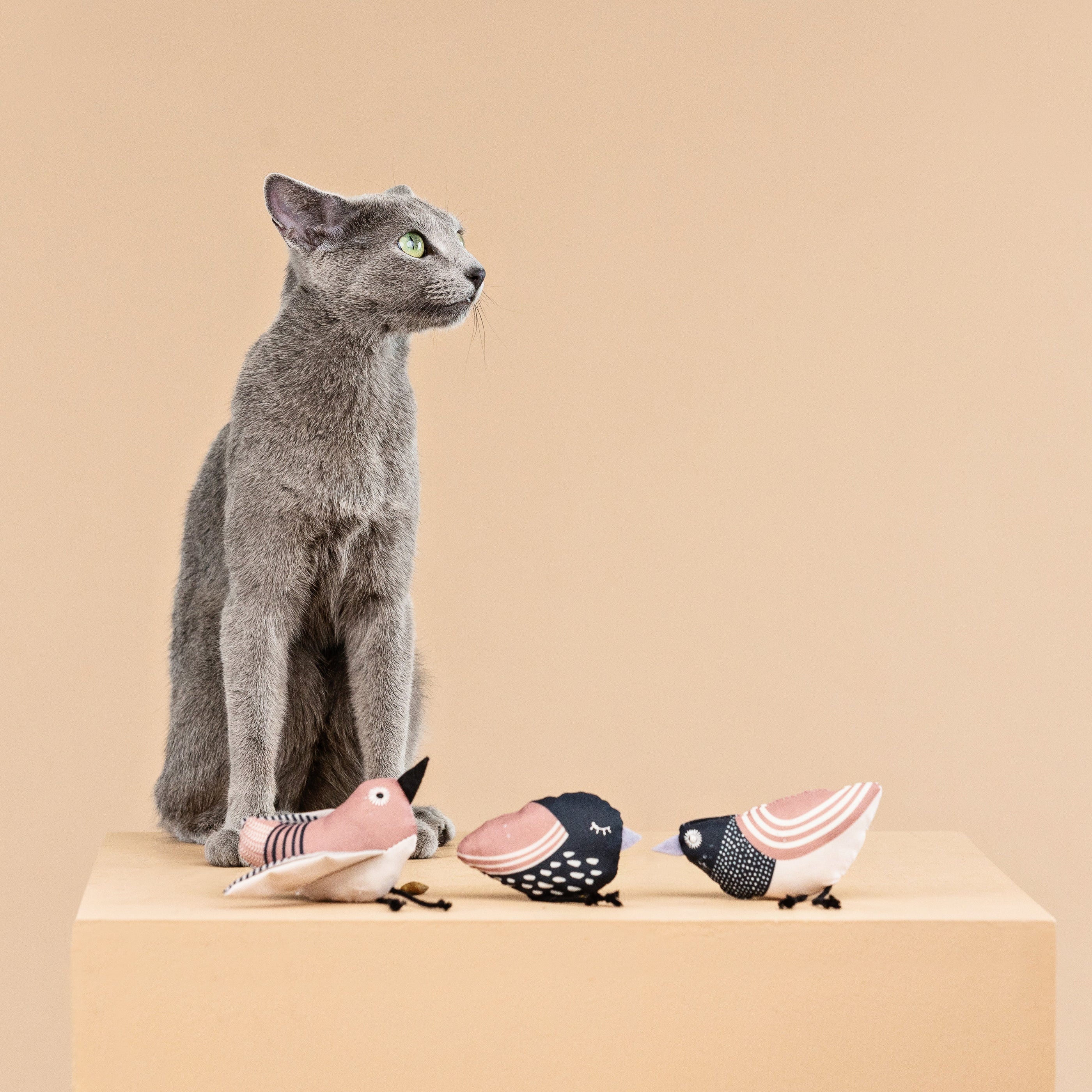 Under My Wings 3pc Mini Canvas Cat Toy Set