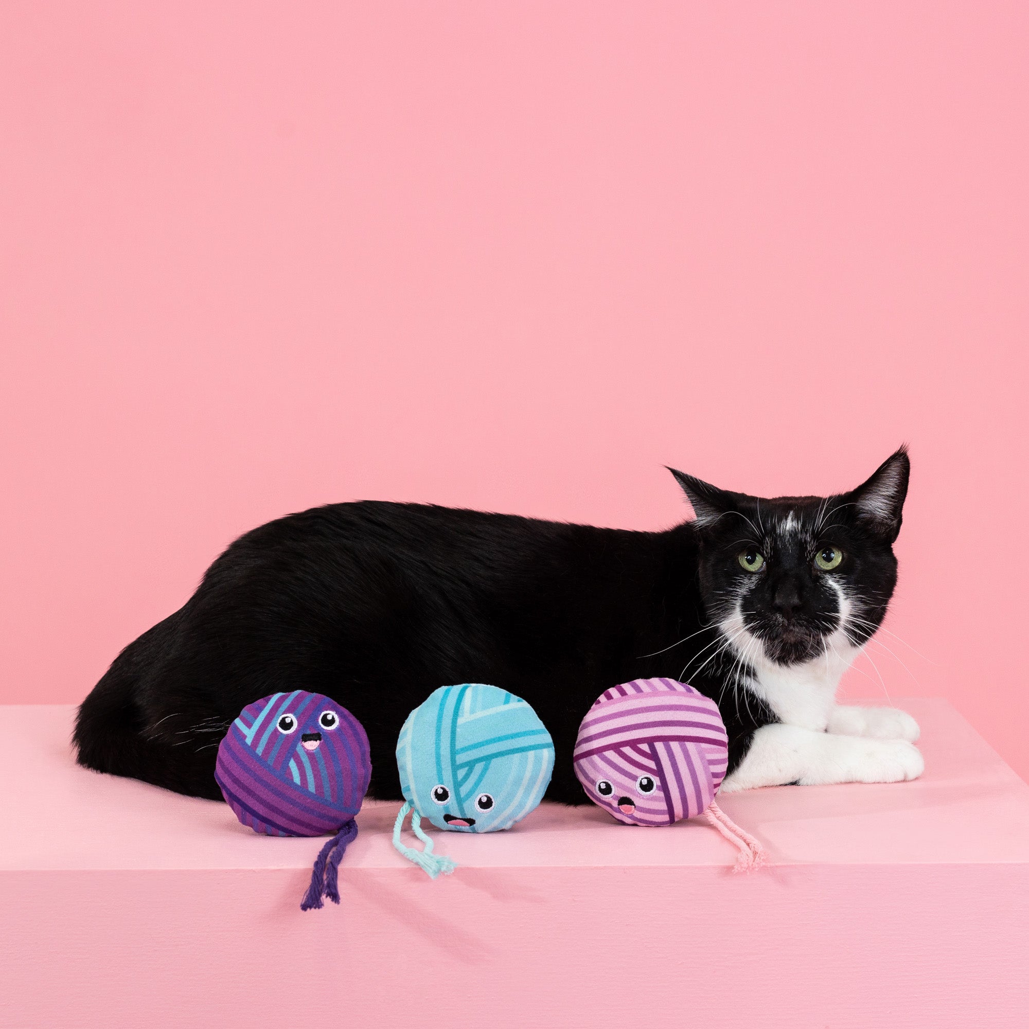 Time To Unwind 3pc Mini Plush Cat Toy Set