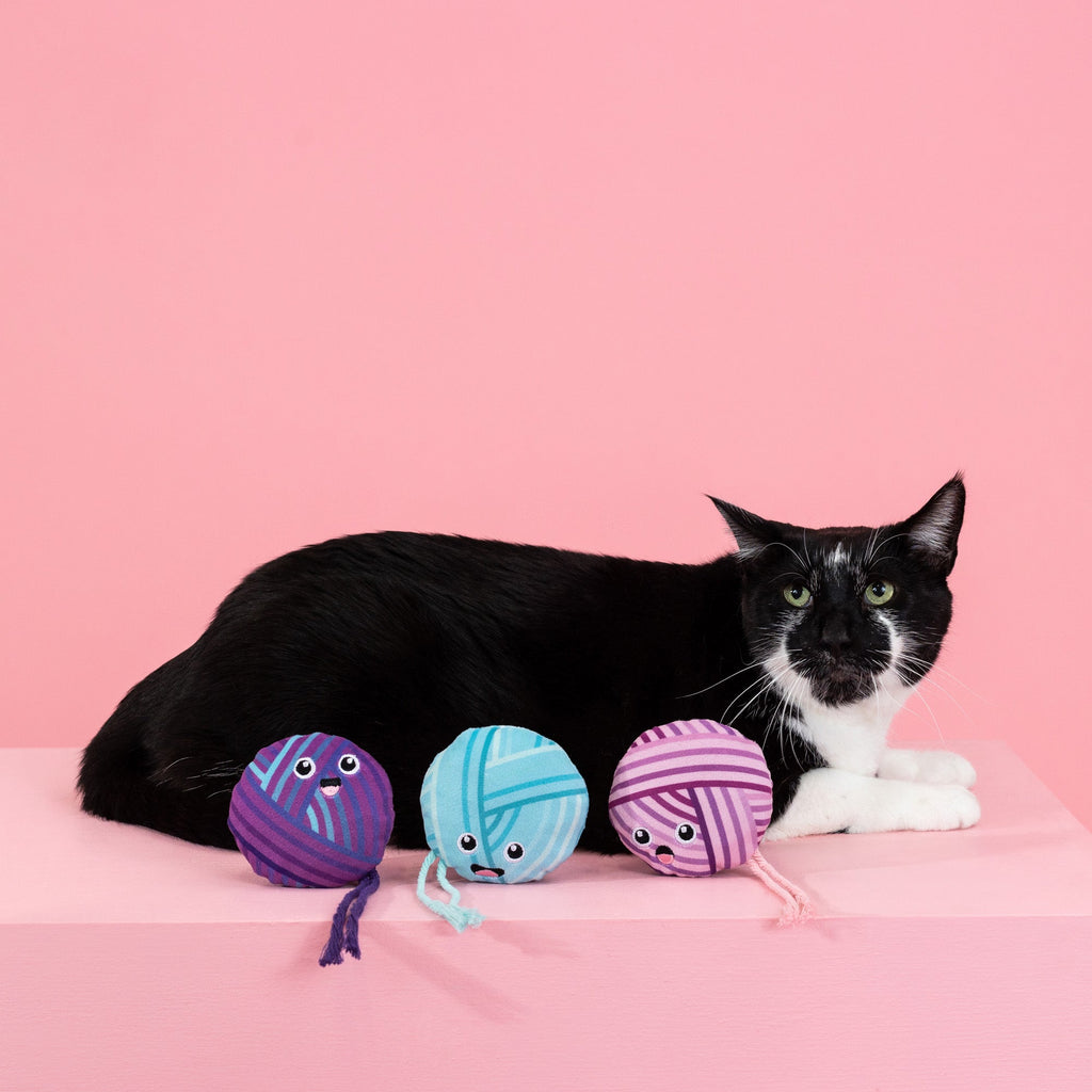 Time To Unwind Cat Toy
