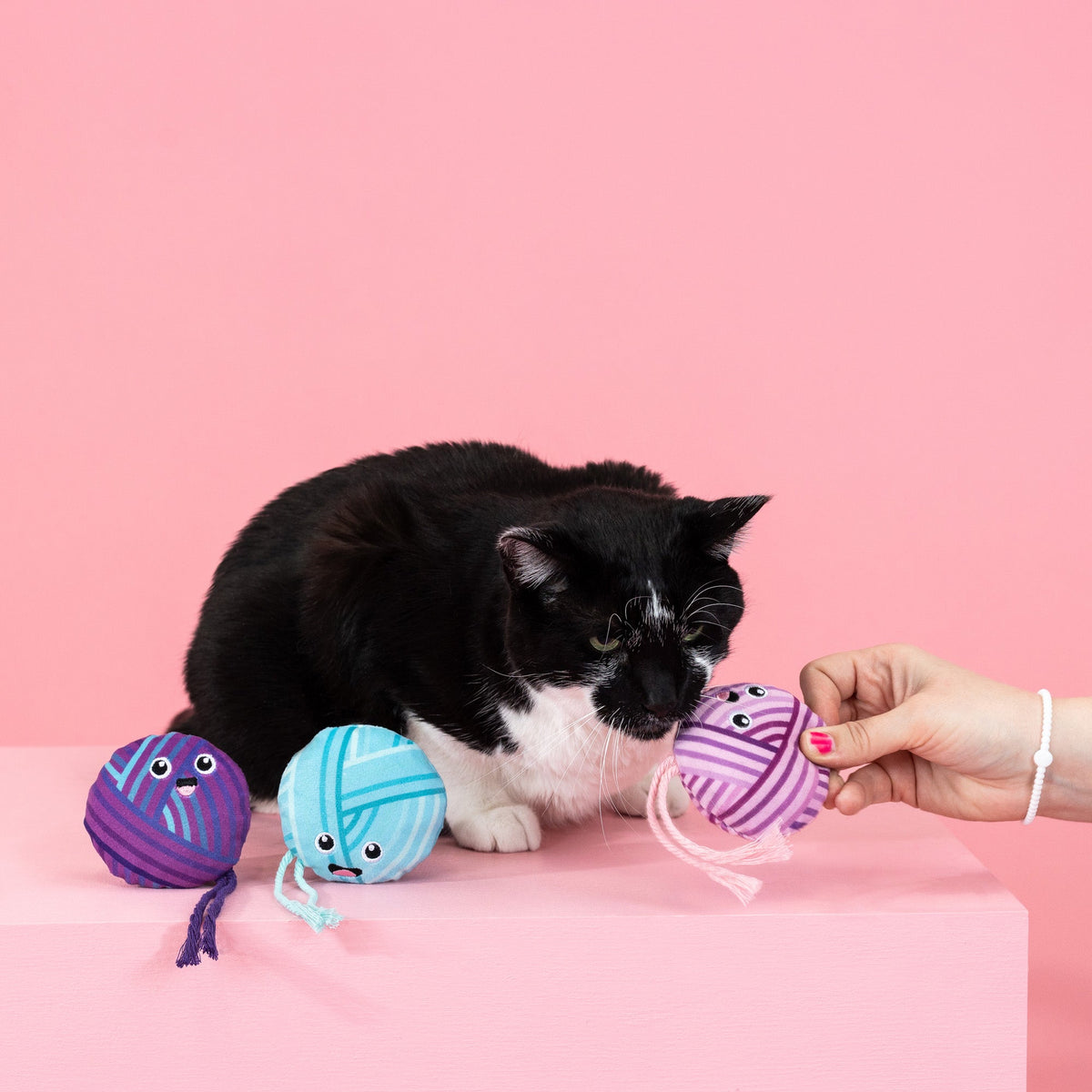 Time To Unwind 3pc Mini Plush Cat Toy Set