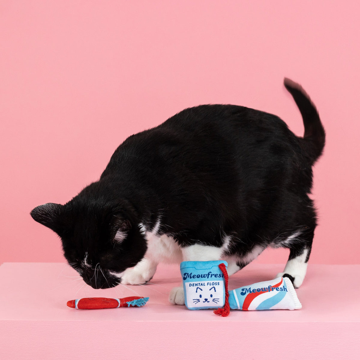 Minty Fresh 3pc Mini Plush Cat Toy Set