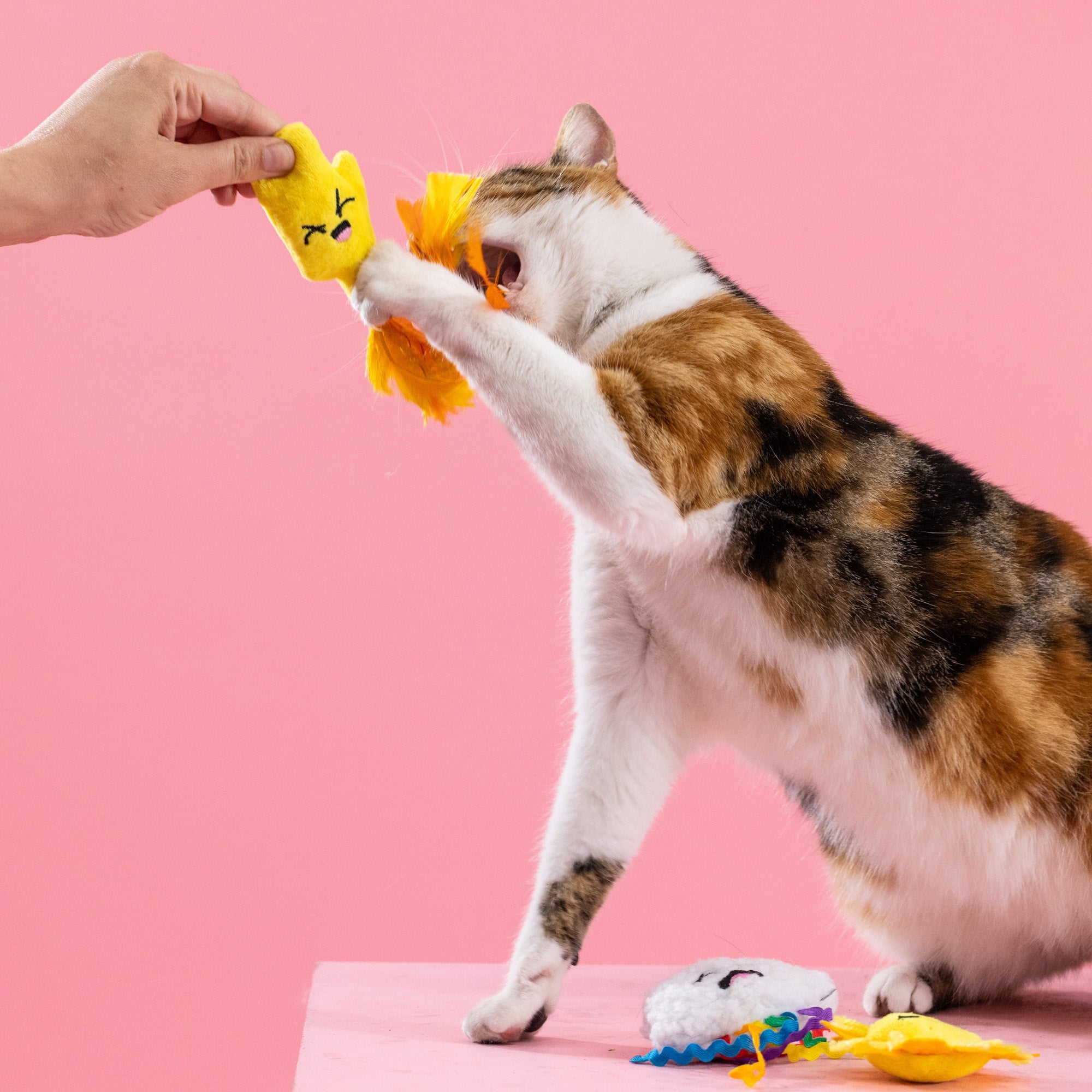 Purr-Fect Weather 3pc Mini Plush Cat Toy Set