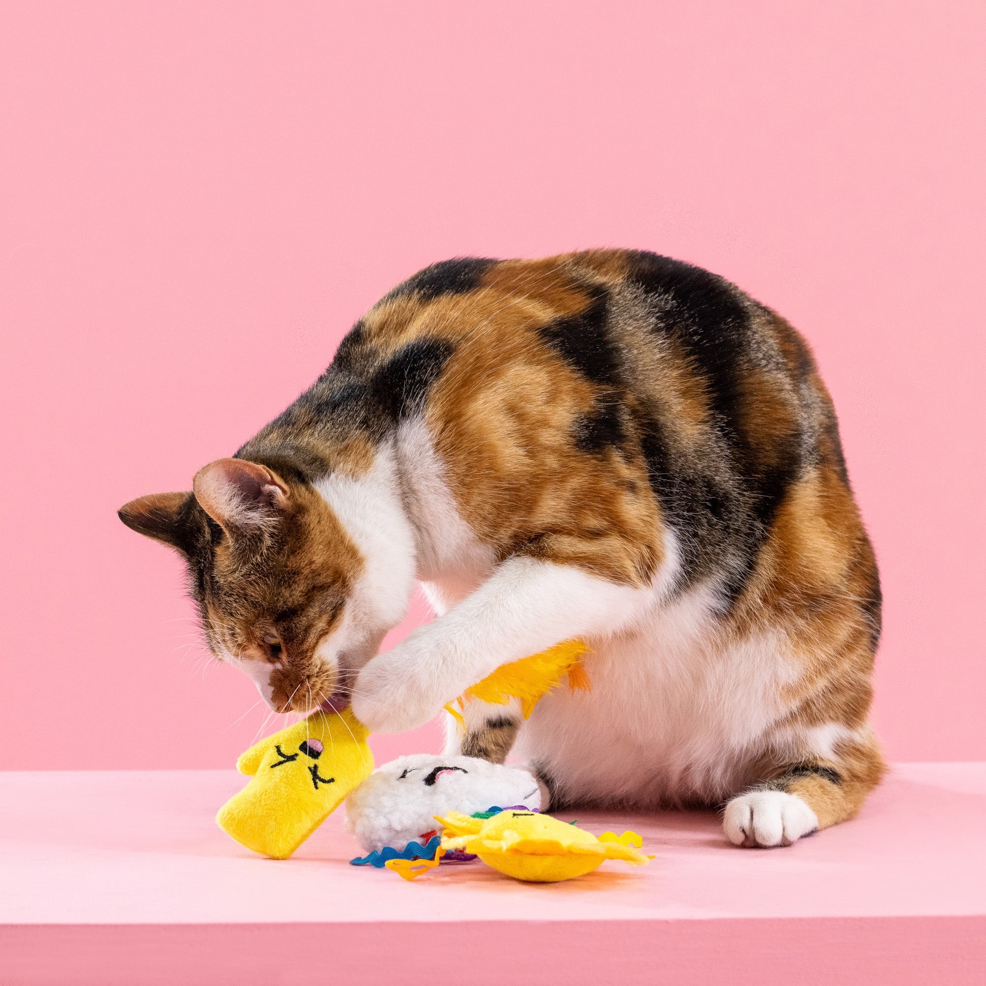 Purr-Fect Weather 3pc Mini Plush Cat Toy Set