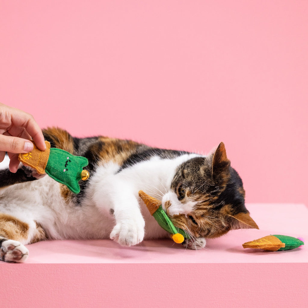 Cat-Us Friends Cat Toy
