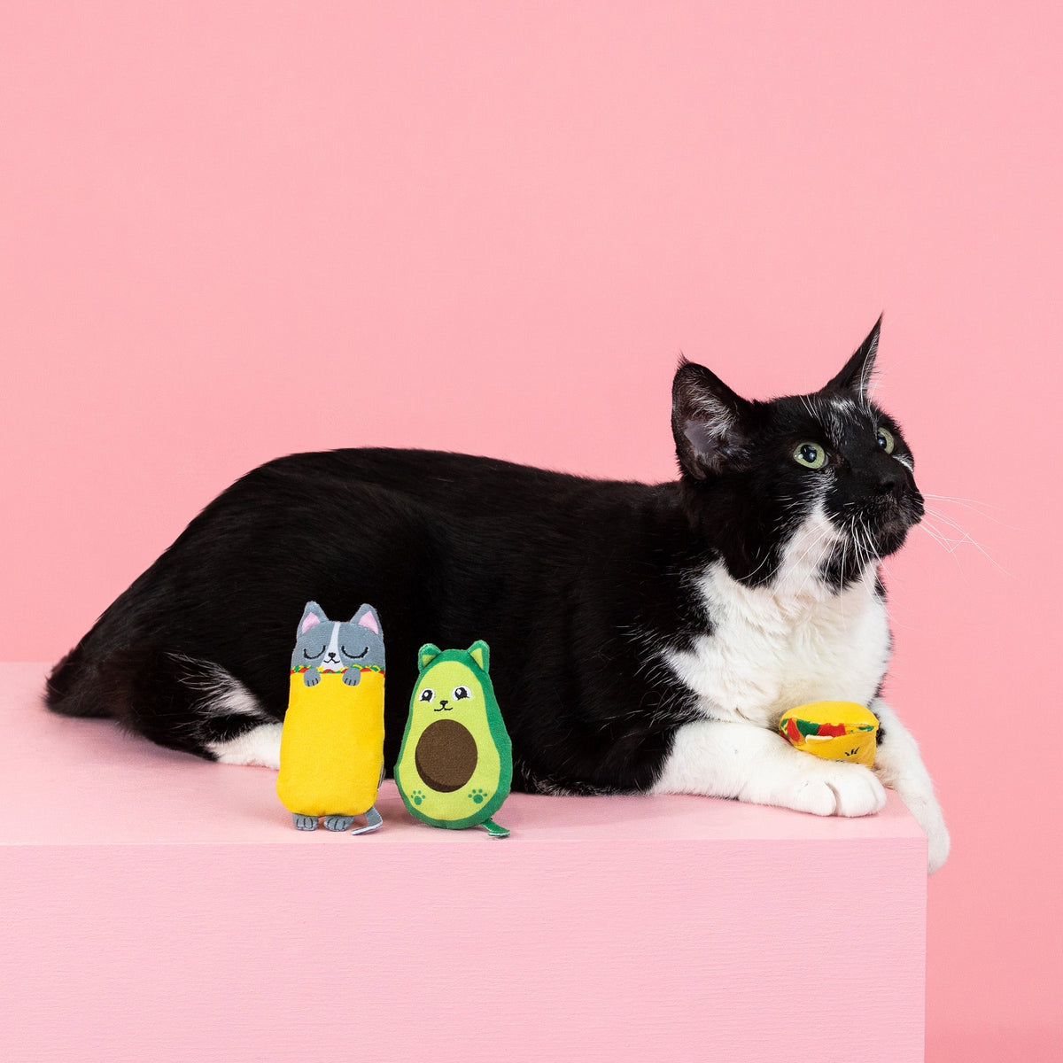 Kitty Cravings 3pc Mini Plush Cat Toy Set