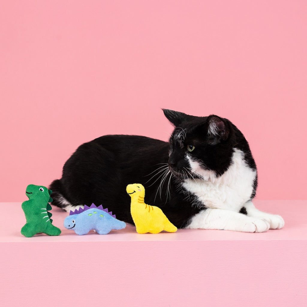 Rawr-Some Crew Cat Toy