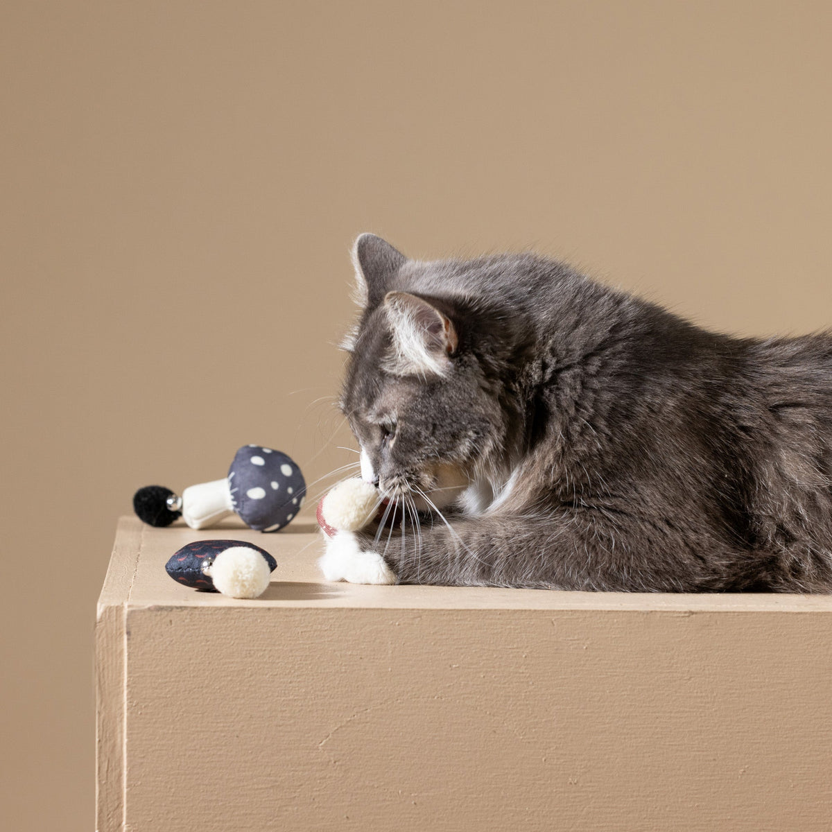 Forest Finds 3pc Mini Canvas Cat Toy Set