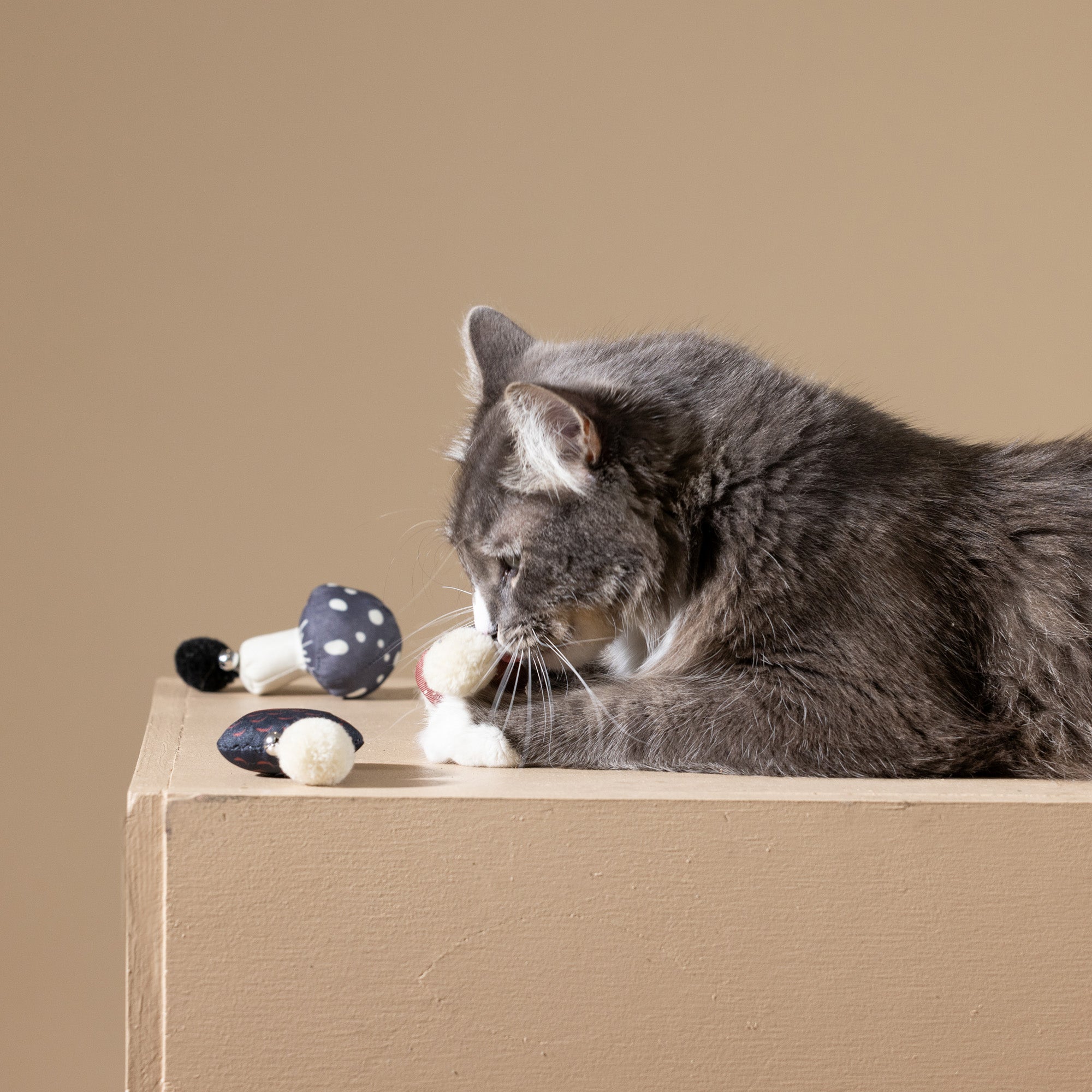 Forest Finds 3pc Mini Canvas Cat Toy Set