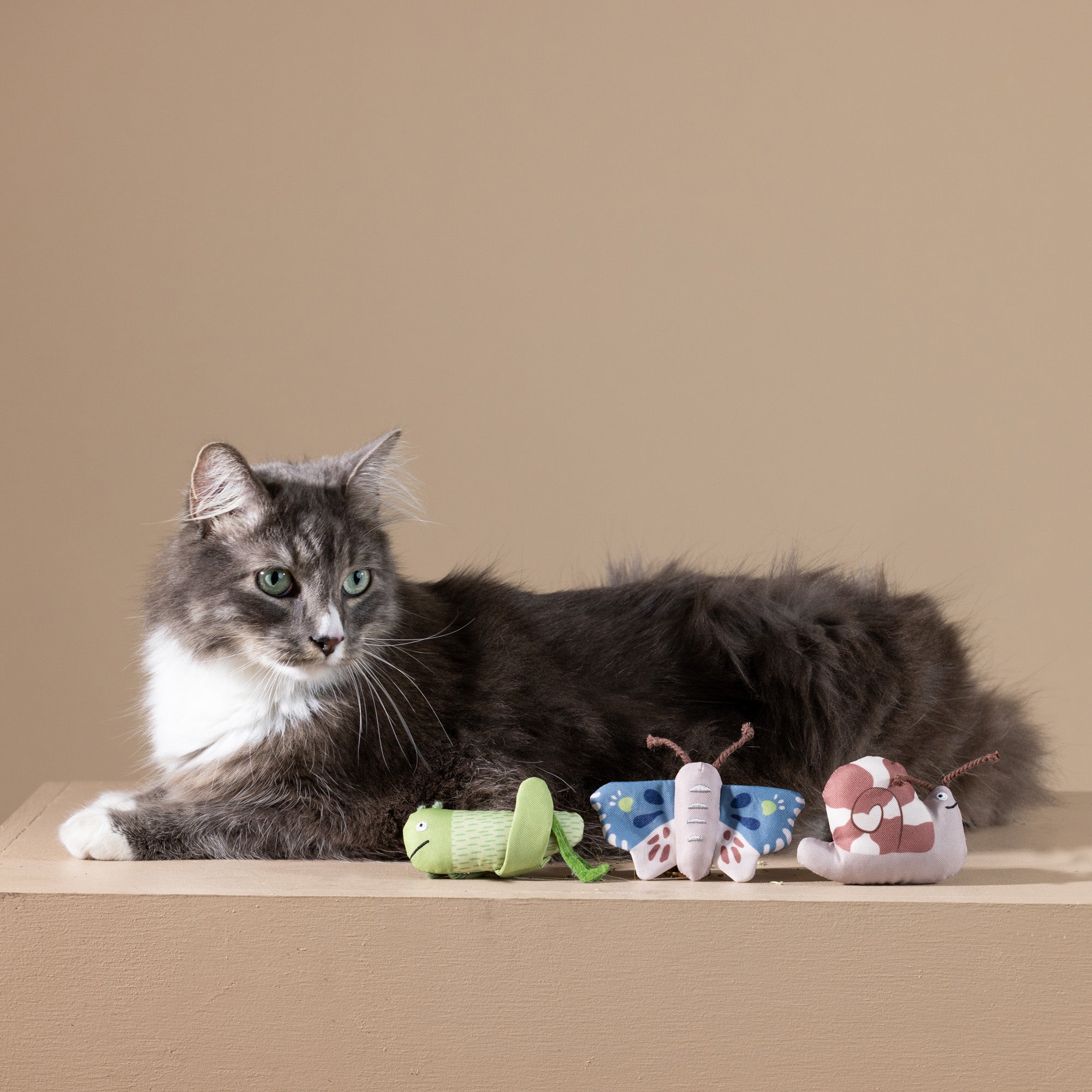 Catch Me If You Can 3pc Mini Canvas Cat Toy Set