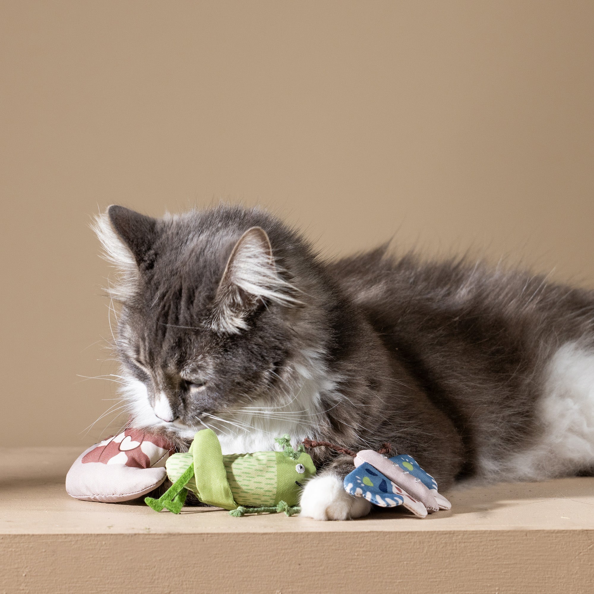 Catch Me If You Can 3pc Mini Canvas Cat Toy Set