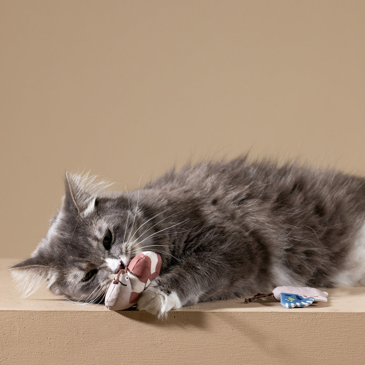 Catch Me If You Can 3pc Mini Canvas Cat Toy Set