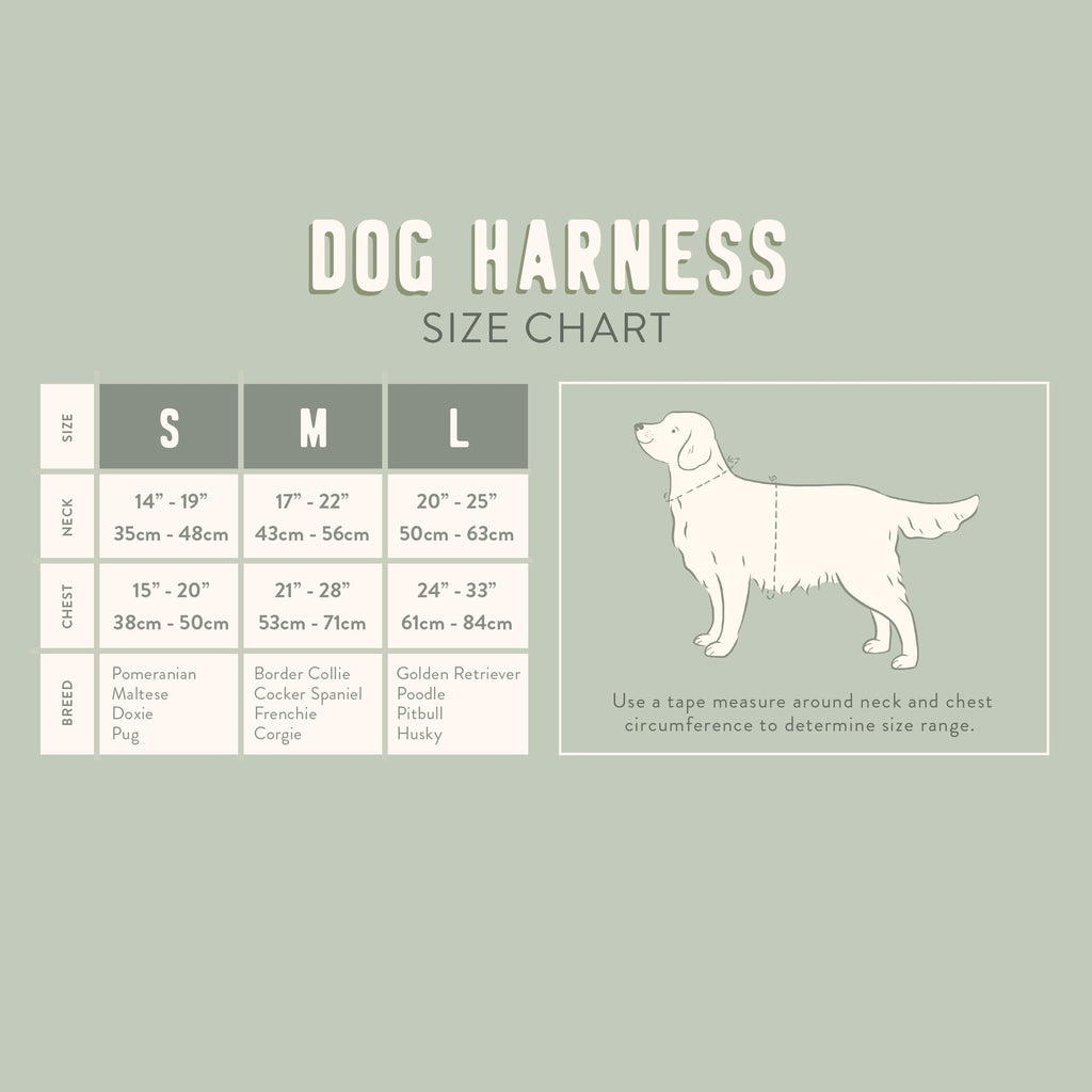 Block Stripe Dusty Sage Dog Harness
