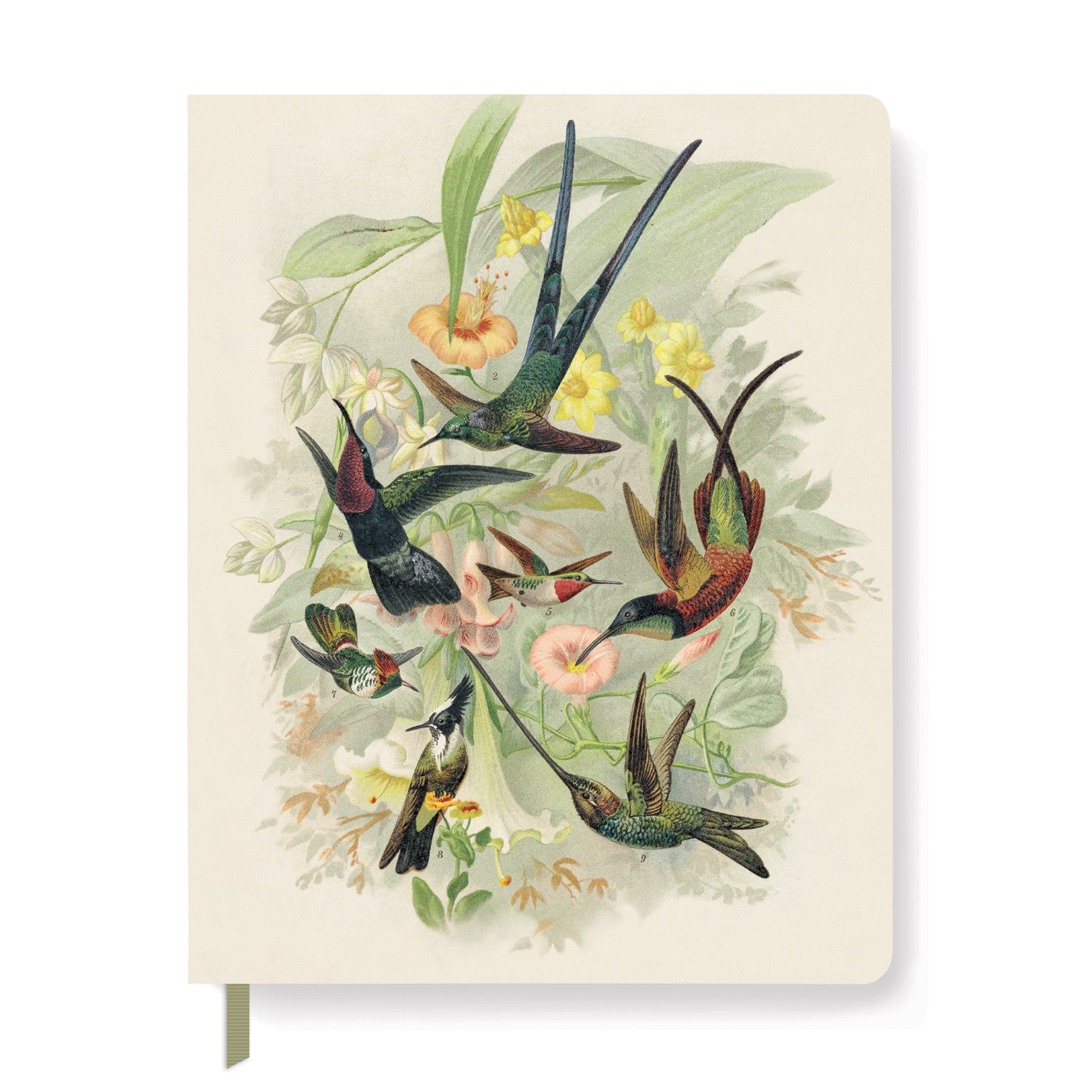 Hummingbirds Classic Large Paperback Journal
